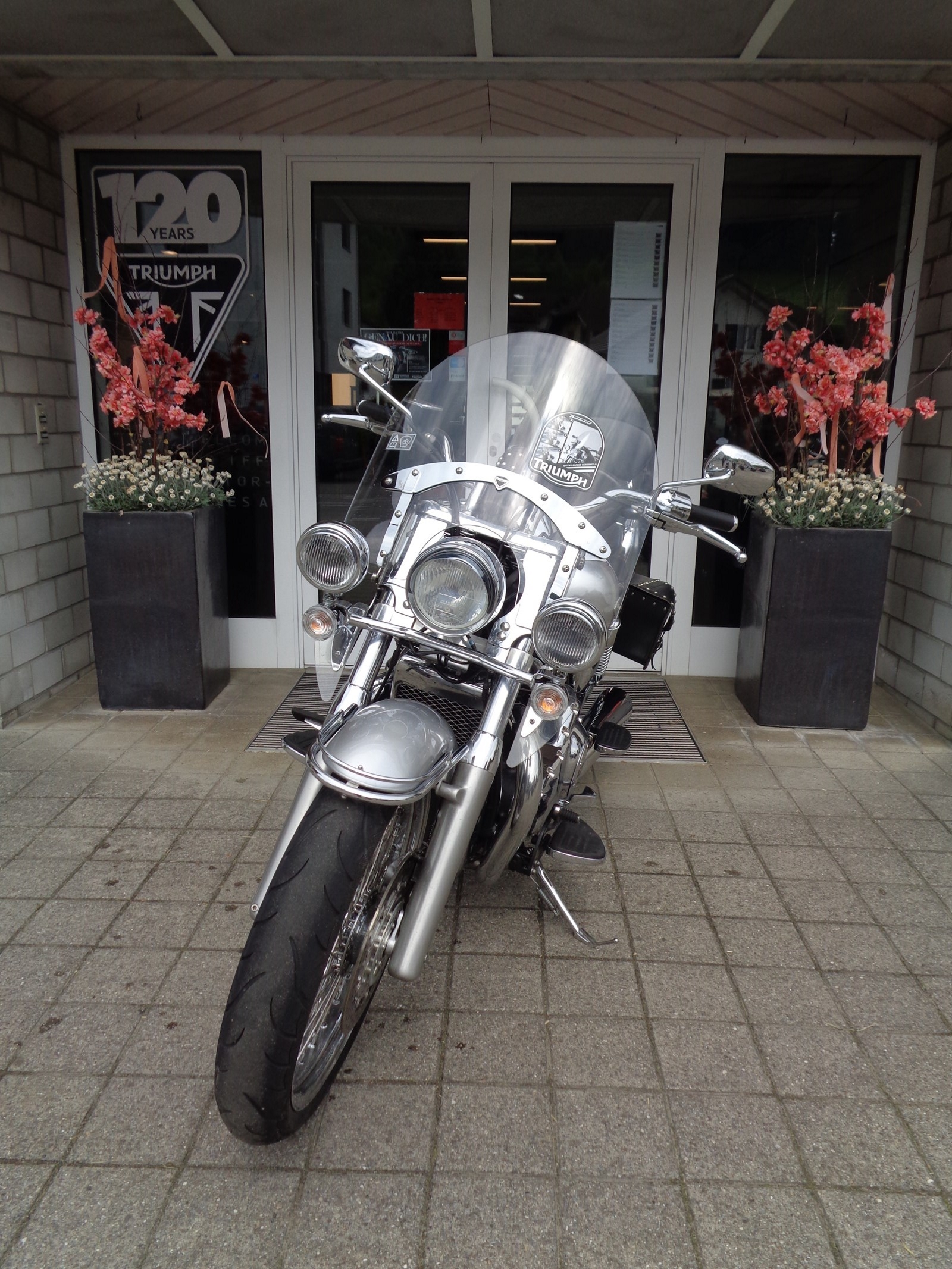 TRIUMPH Thunderbird 1700 ABS mit Speichenrädern-showroom-element-3