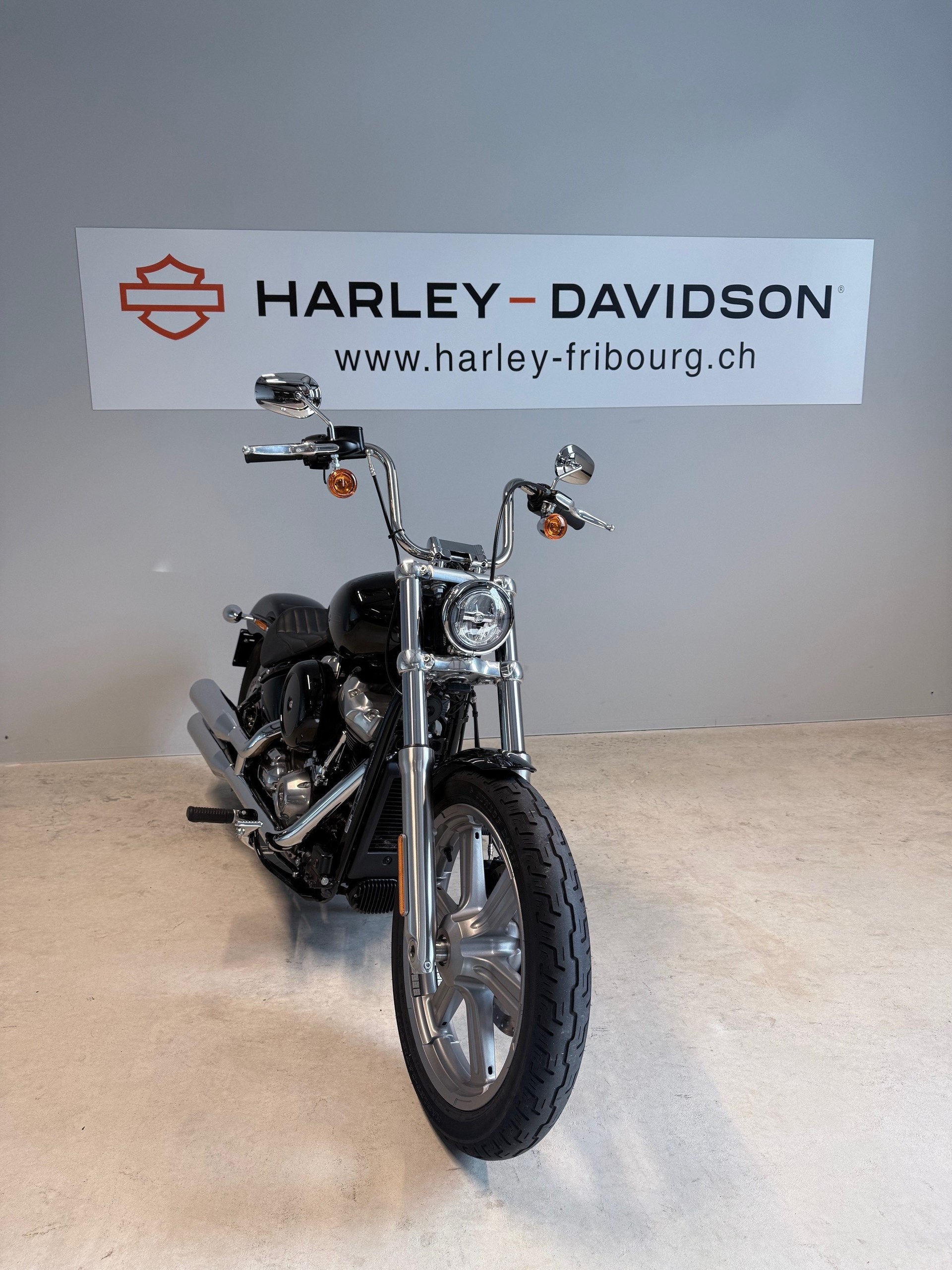 HARLEY-DAVIDSON FXST Softail Standard 107-showroom-element-2