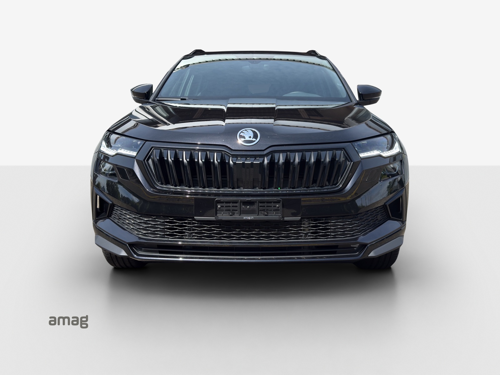 SKODA Karoq 2.0 TSI Dynamic Limited Edition 4x4 DSG-image-6