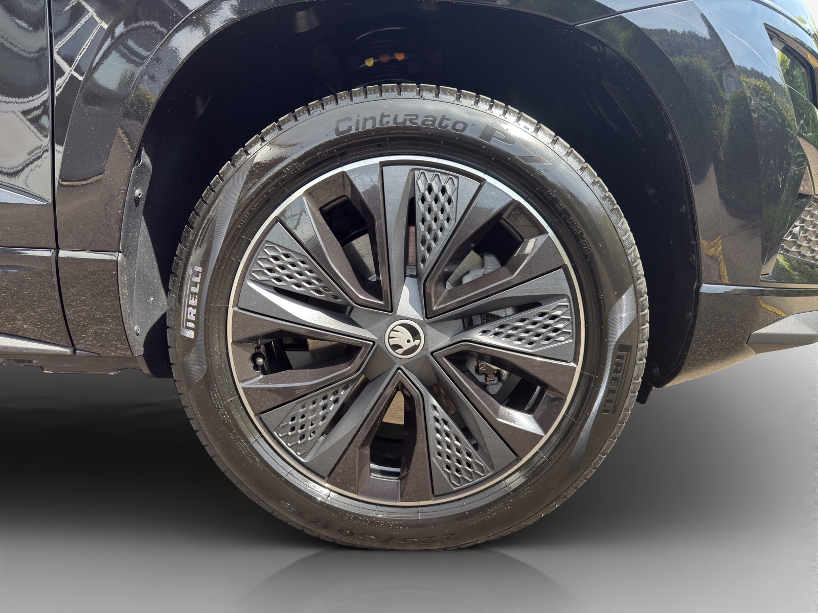 SKODA Karoq 2.0 TSI Dynamic Limited Edition 4x4 DSG-image-12