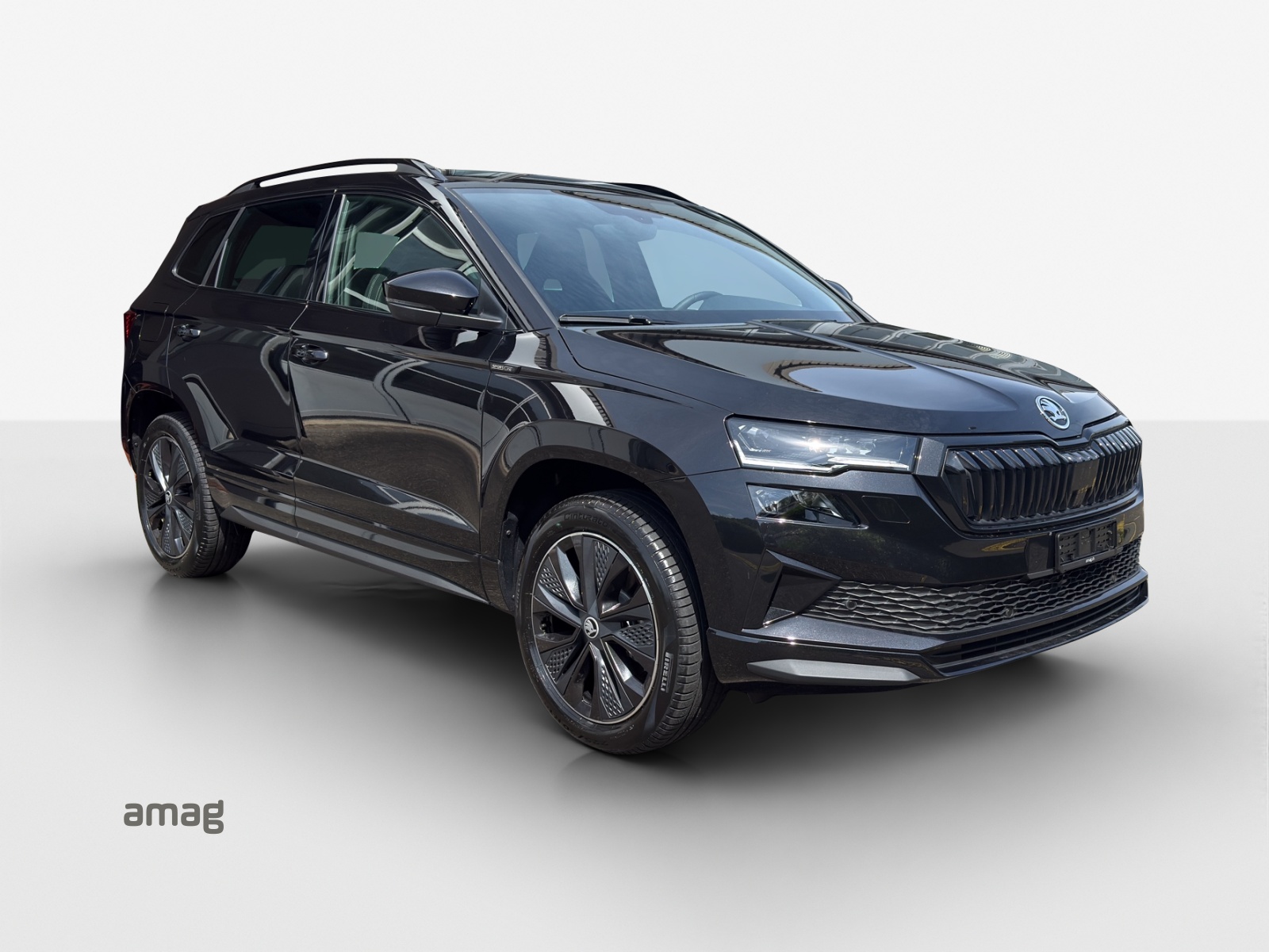 SKODA Karoq 2.0 TSI Dynamic Limited Edition 4x4 DSG-image-5