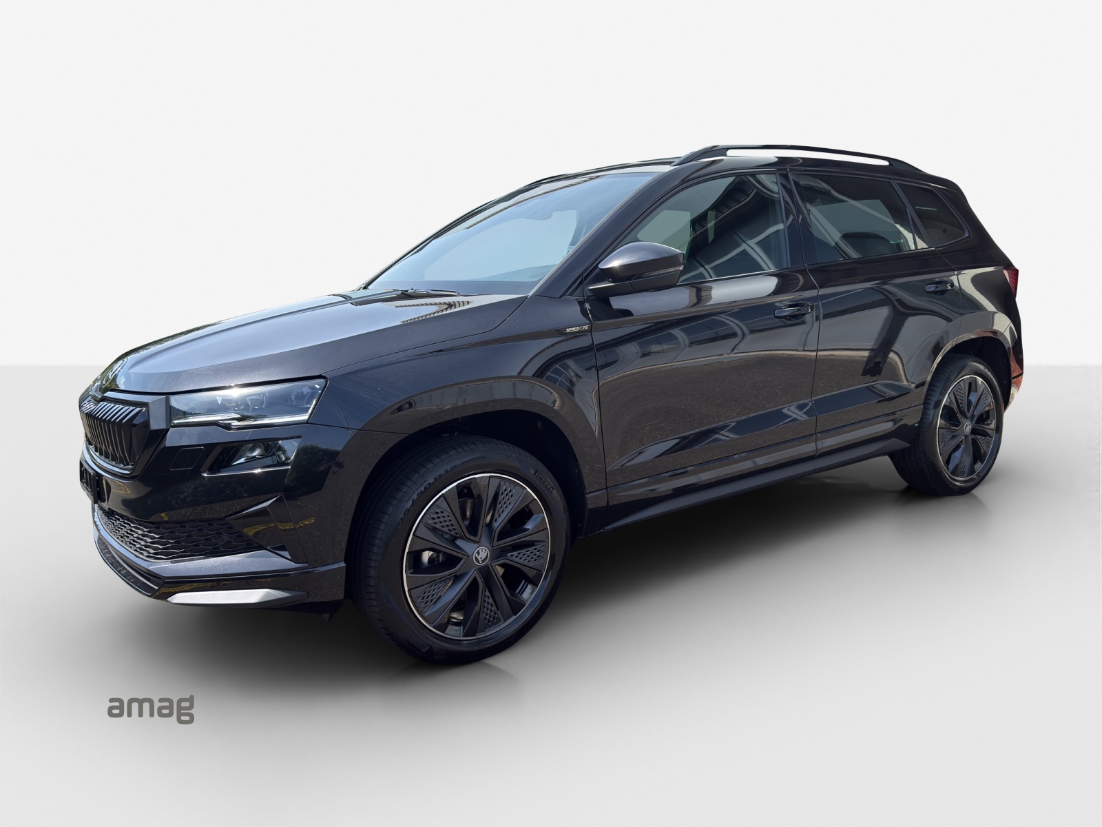 SKODA Karoq 2.0 TSI Dynamic Limited Edition 4x4 DSG-image-0