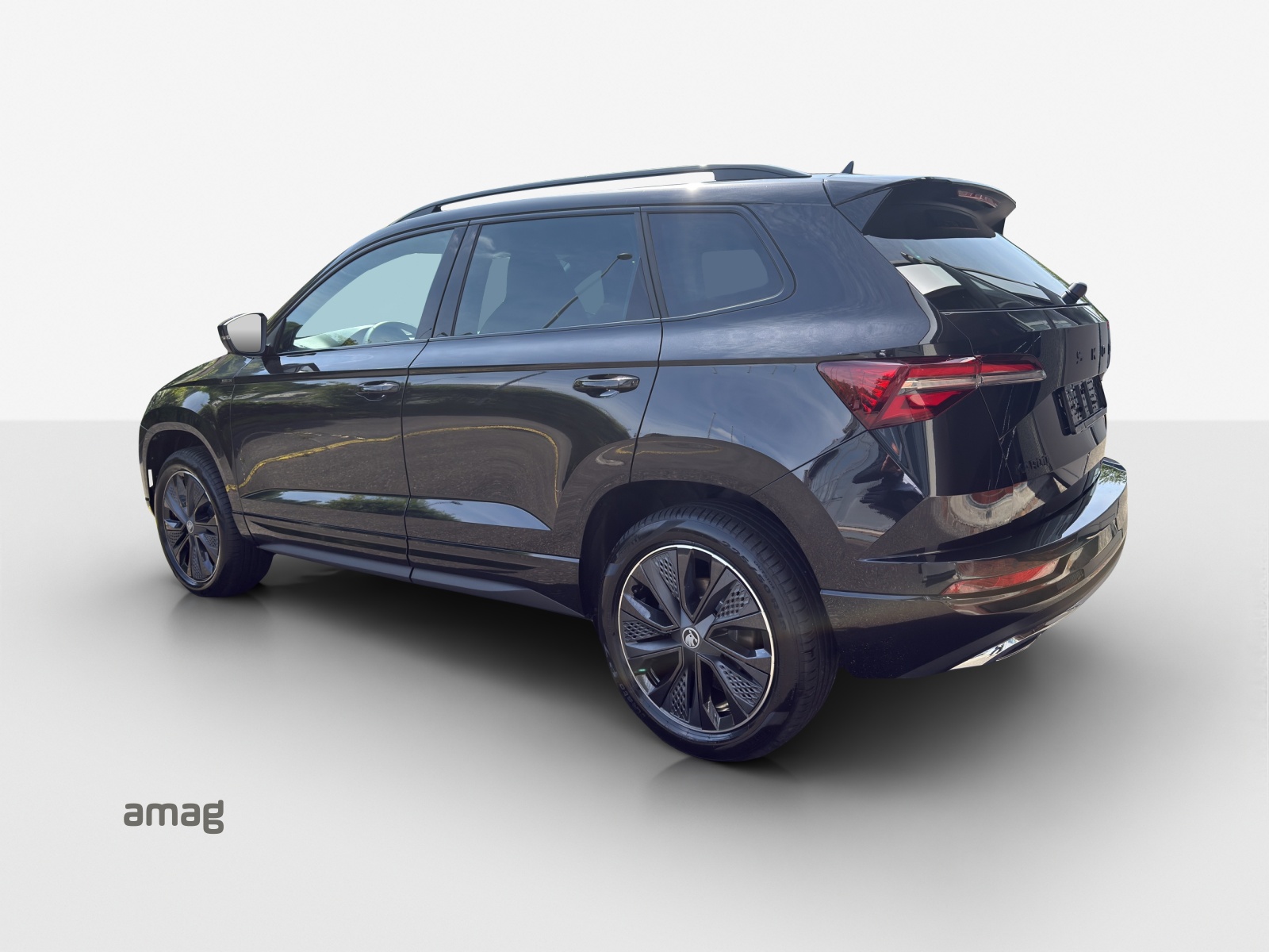 SKODA Karoq 2.0 TSI Dynamic Limited Edition 4x4 DSG-image-2