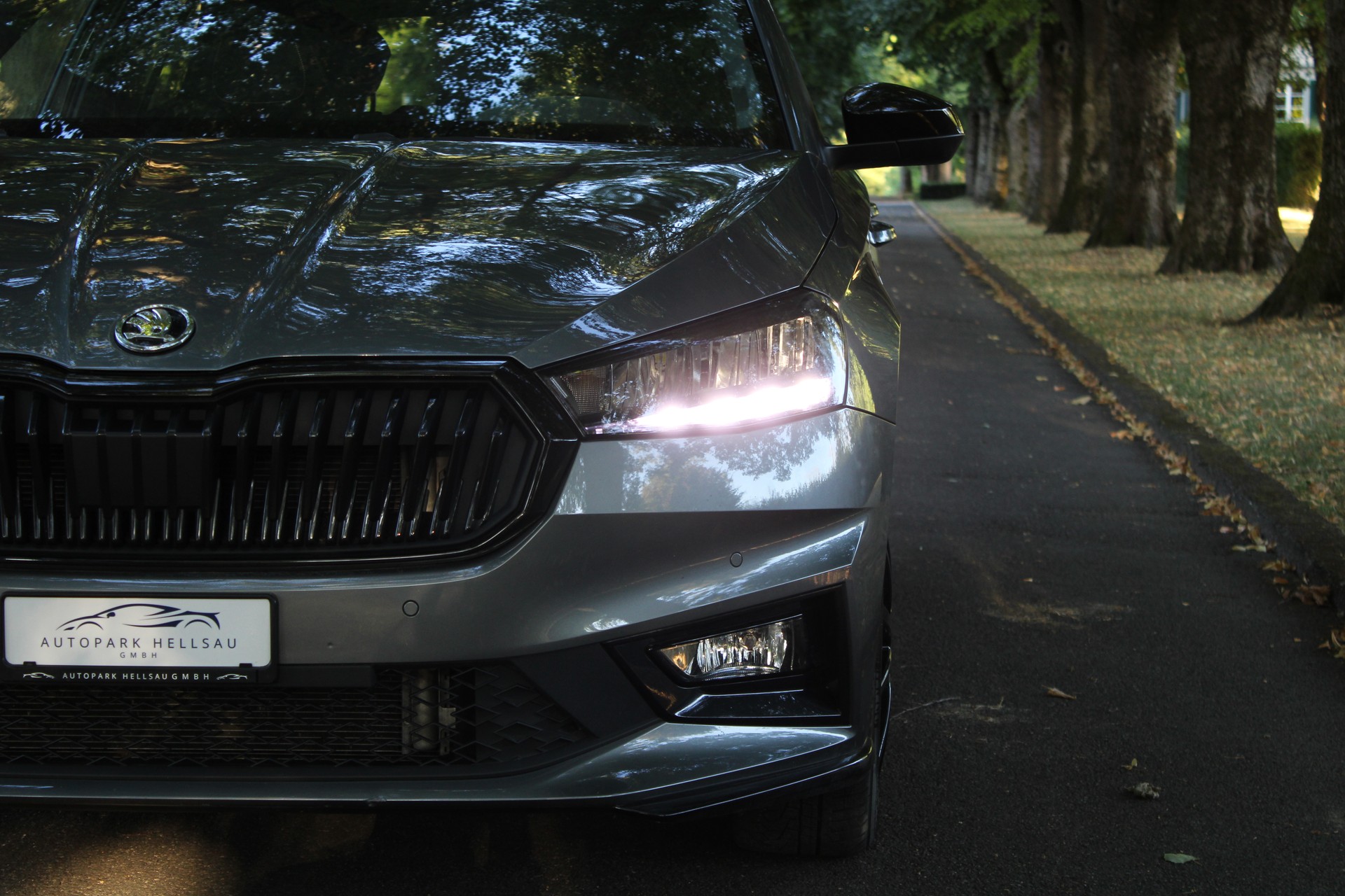 SKODA Fabia 1.5 TSI Monte Carlo DSG-image-9