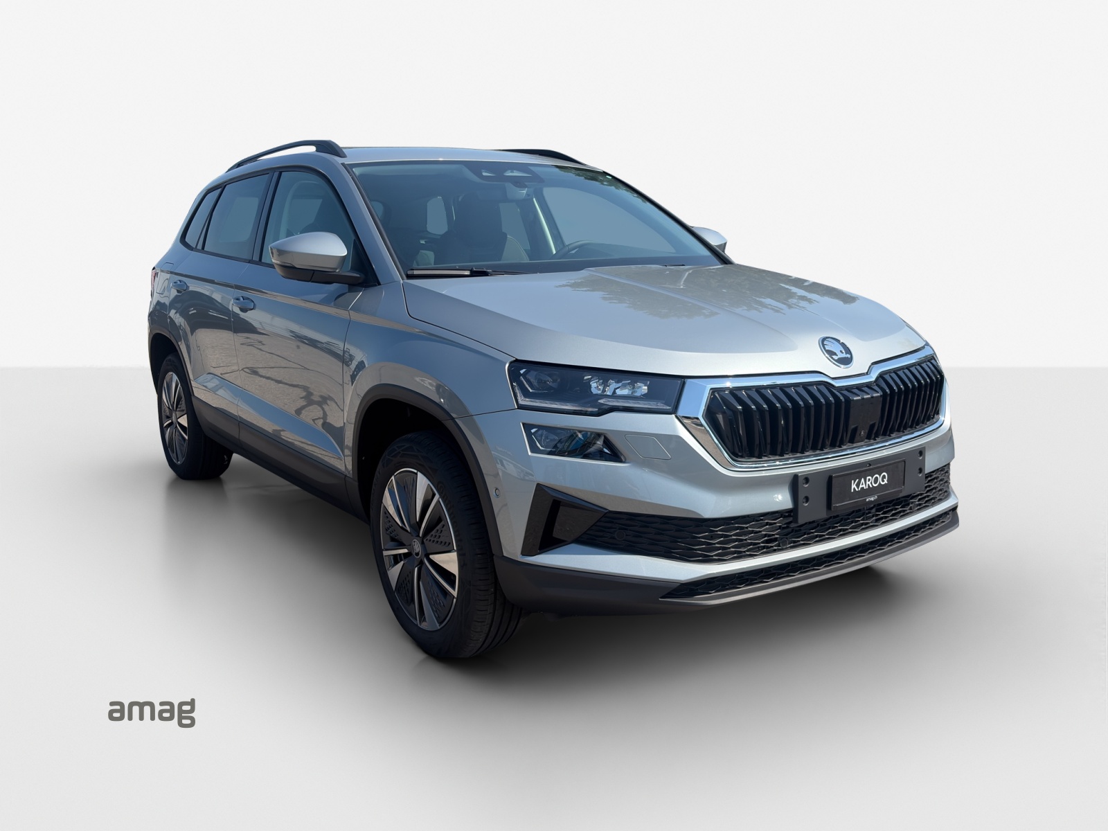 SKODA Karoq 1.5 TSI Dynamic DSG-image-5