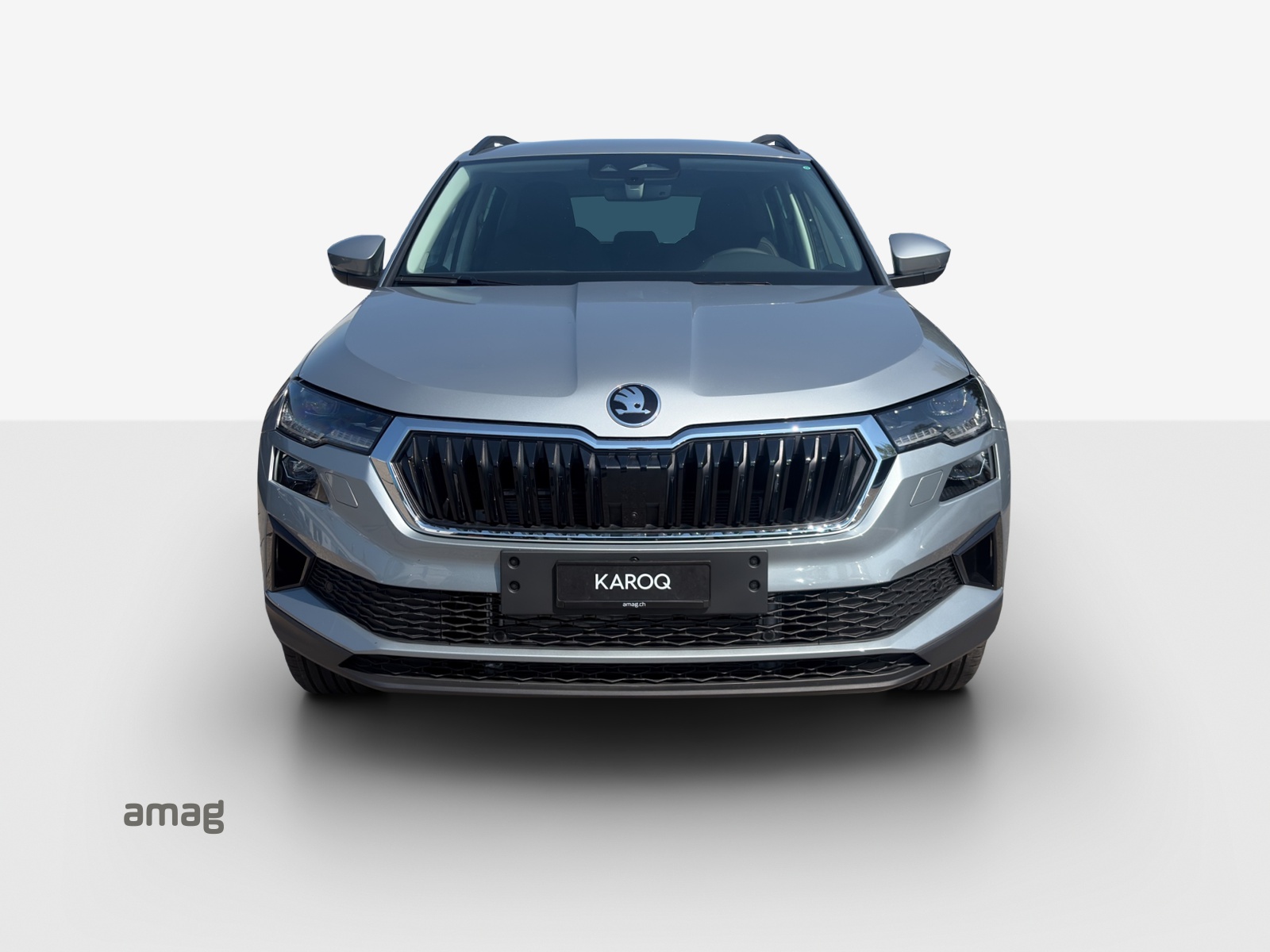 SKODA Karoq 1.5 TSI Dynamic DSG-image-6