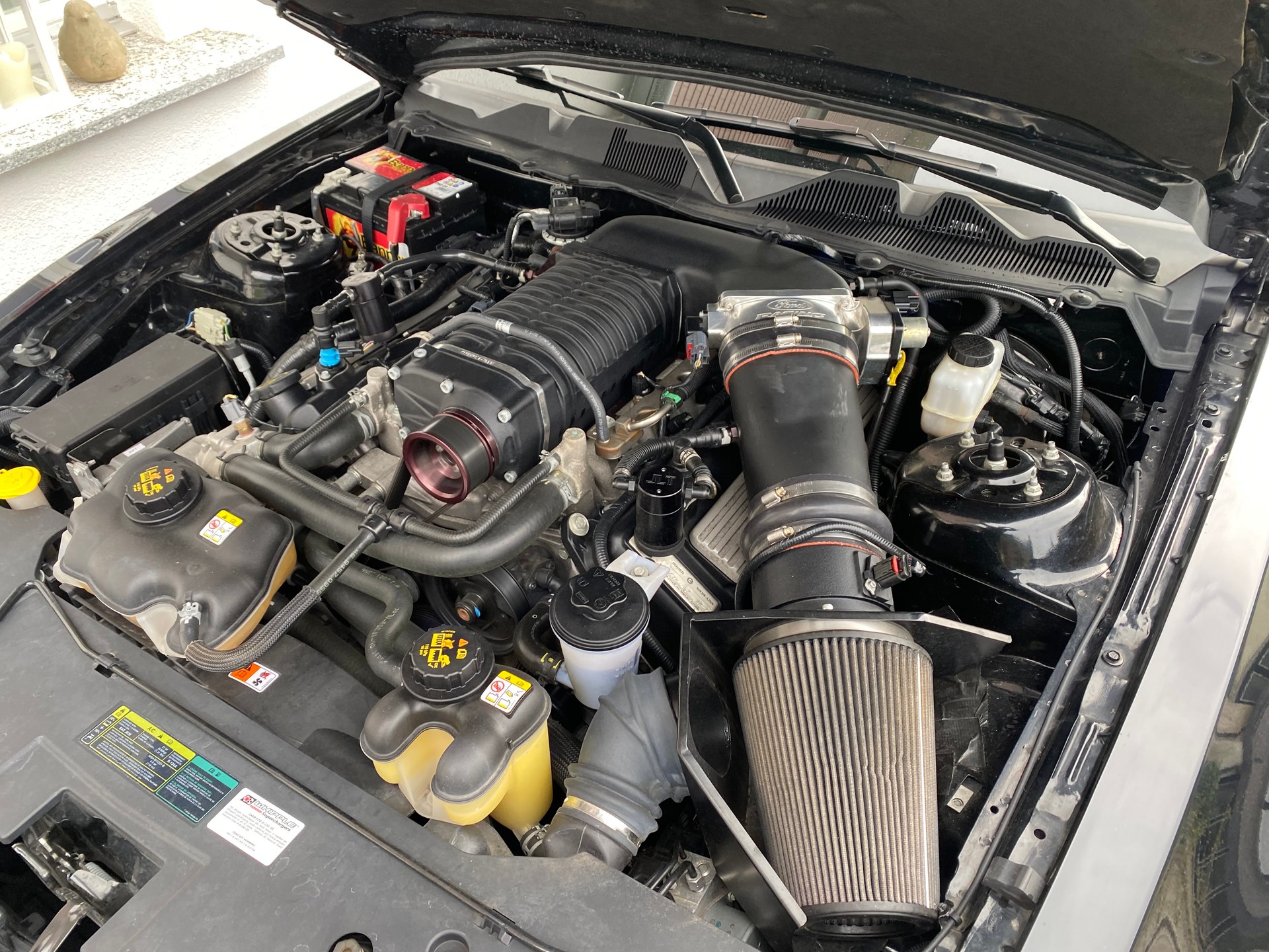 FORD Shelby GT500-image-14