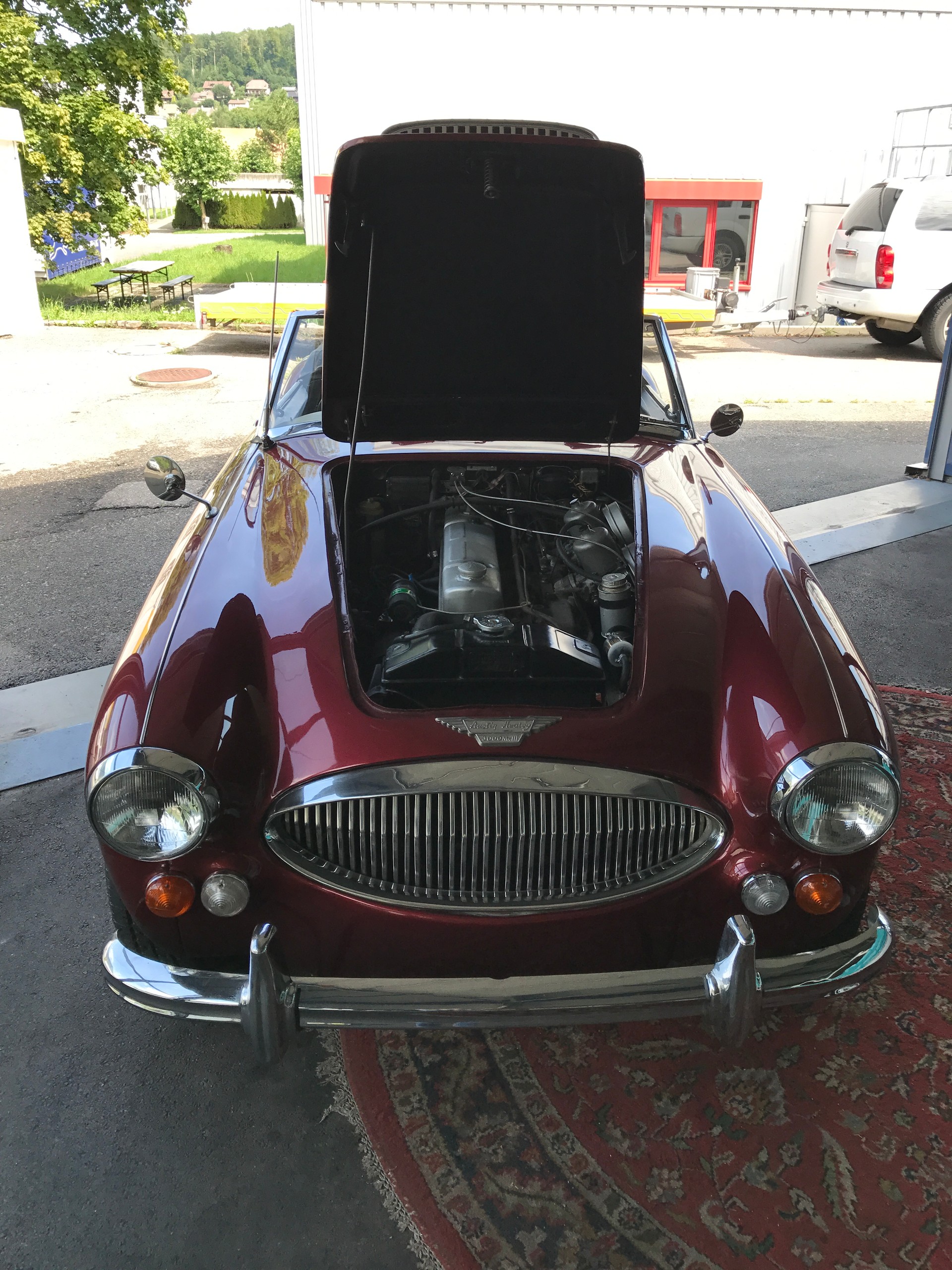 AUSTIN-HEALEY-image-2