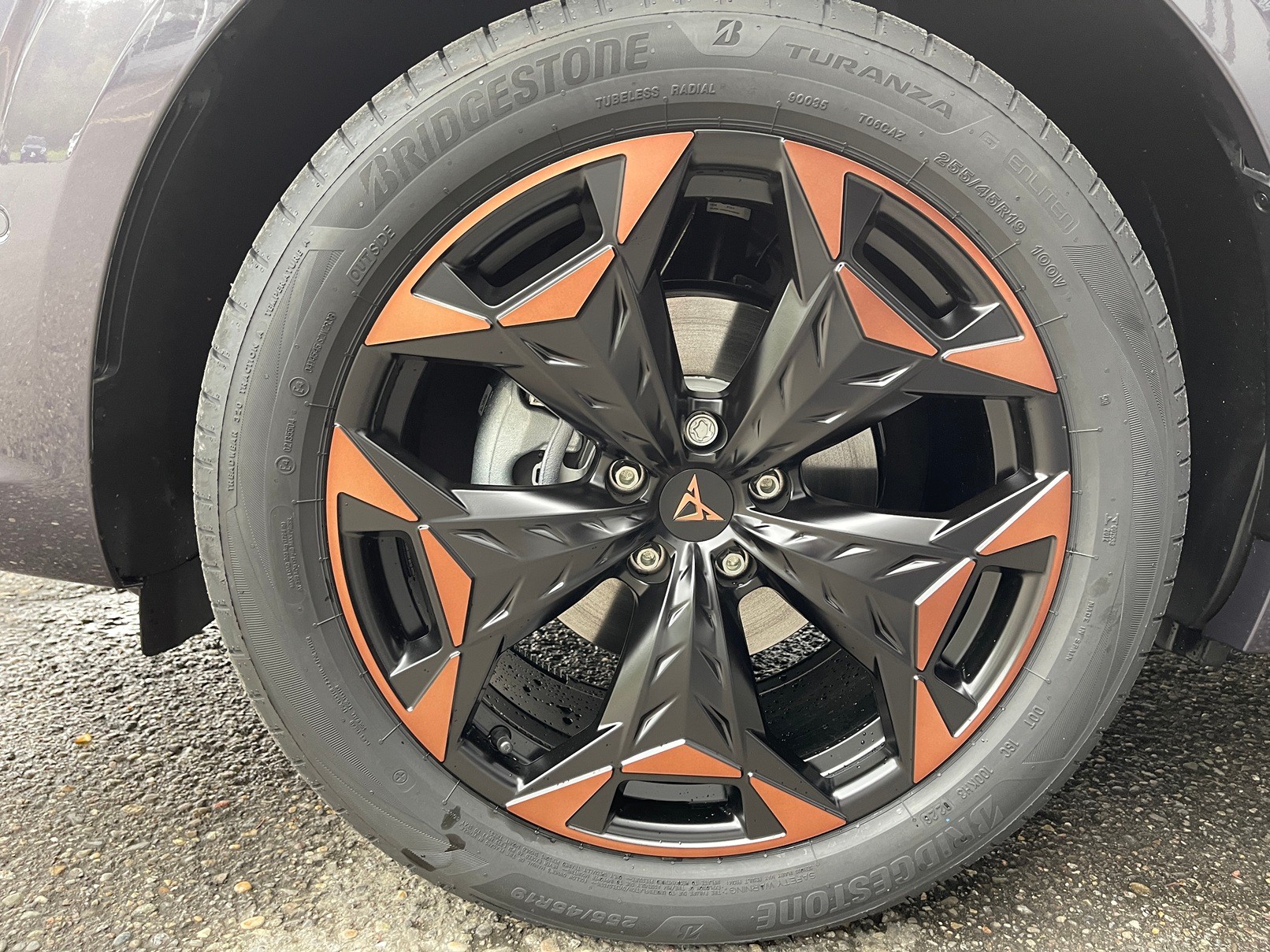 CUPRA Terramar 1.5 eTSI Prime Edition DSG-image-8