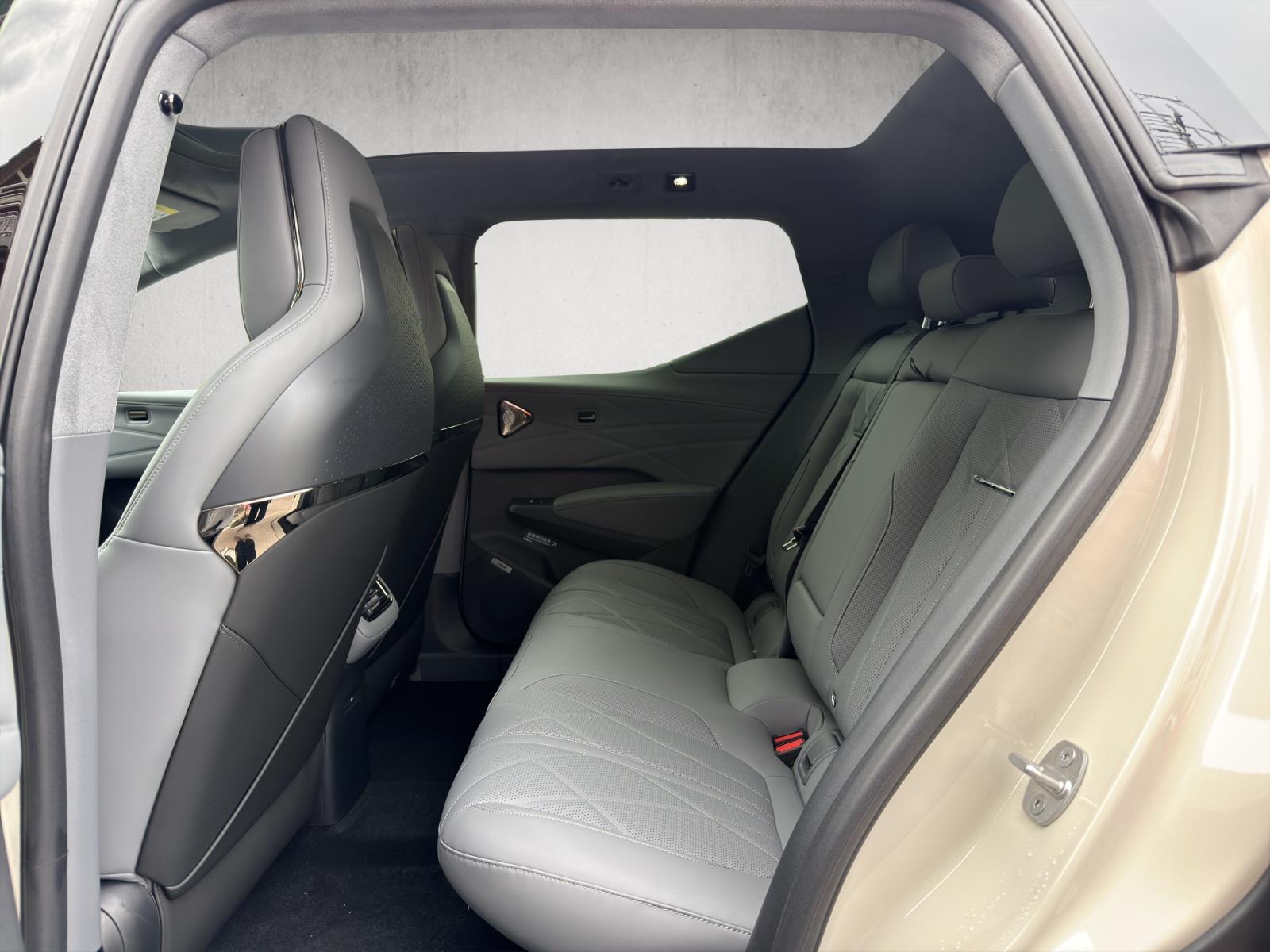 ZEEKR X Privilege AWD-image-14