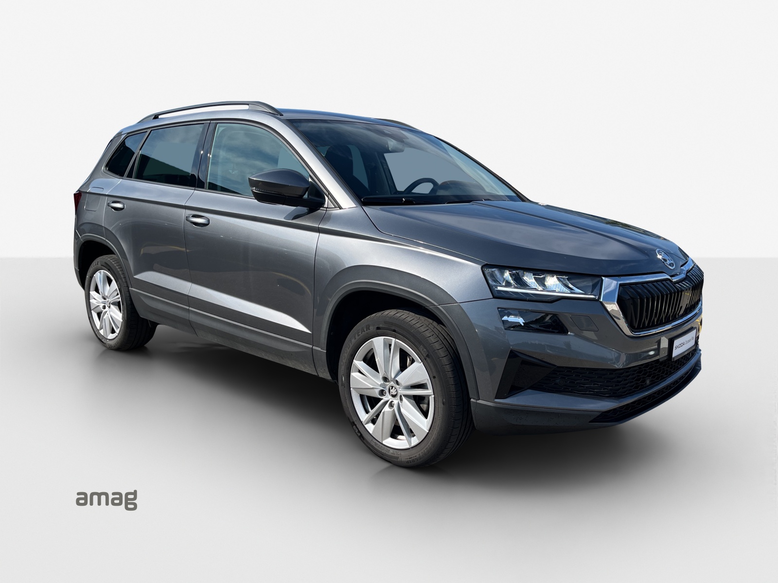 SKODA Karoq 1.5 TSI Selection DSG-image-5