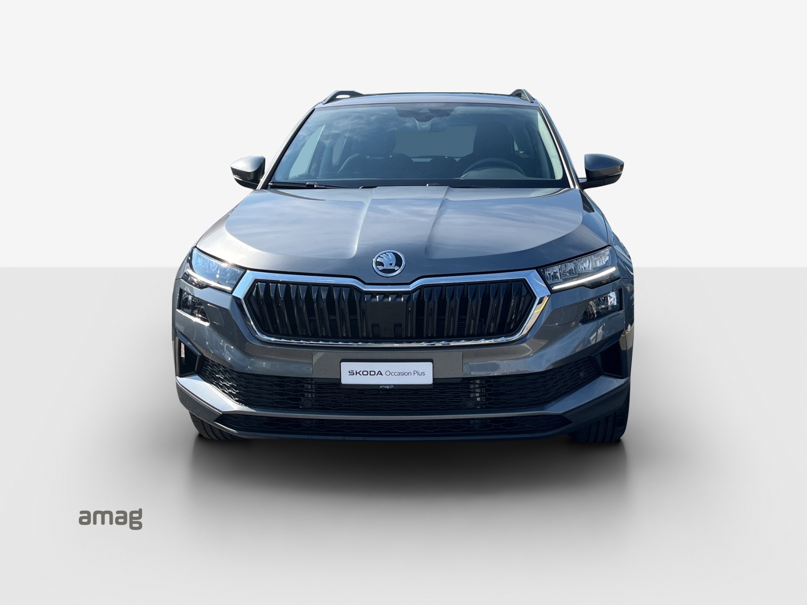 SKODA Karoq 1.5 TSI Selection DSG-image-6