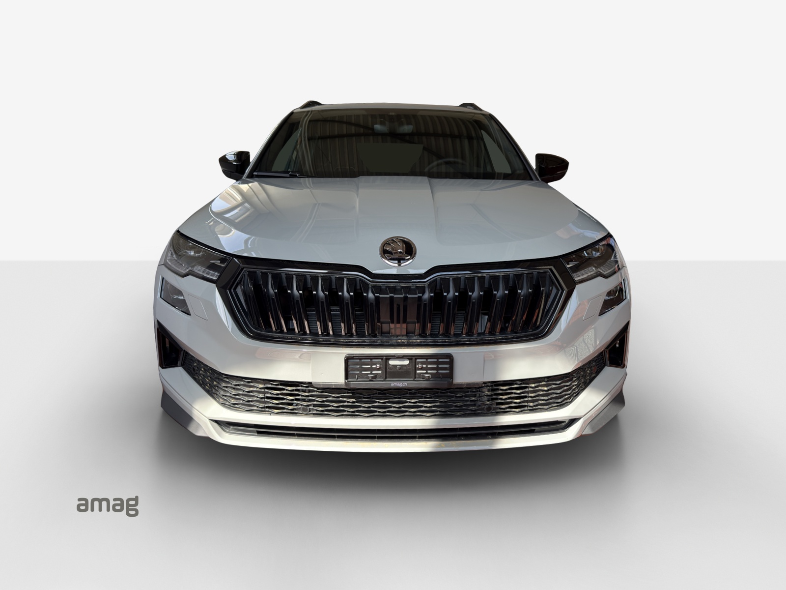 SKODA Karoq 2.0 TSI Dynamic Limited Edition 4x4 DSG-image-6