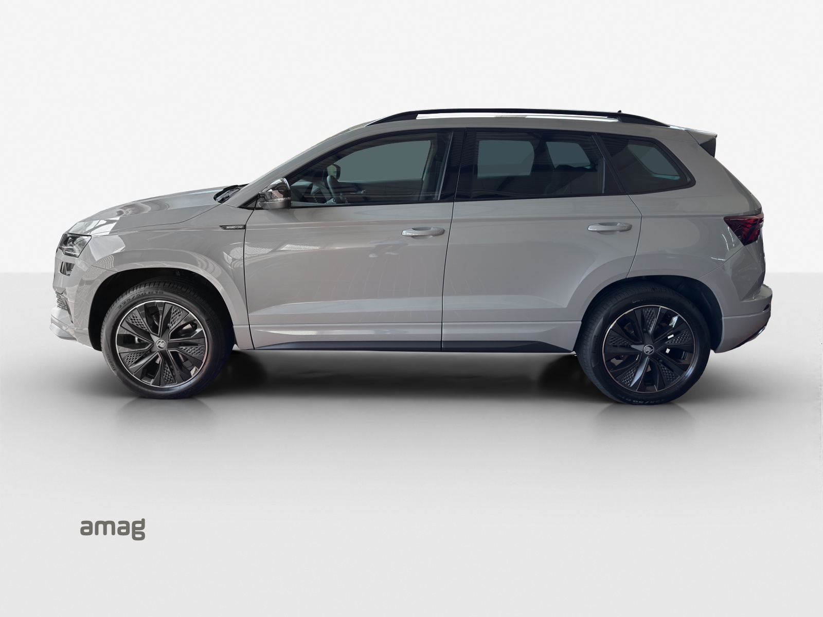 SKODA Karoq 2.0 TSI Dynamic Limited Edition 4x4 DSG-image-1