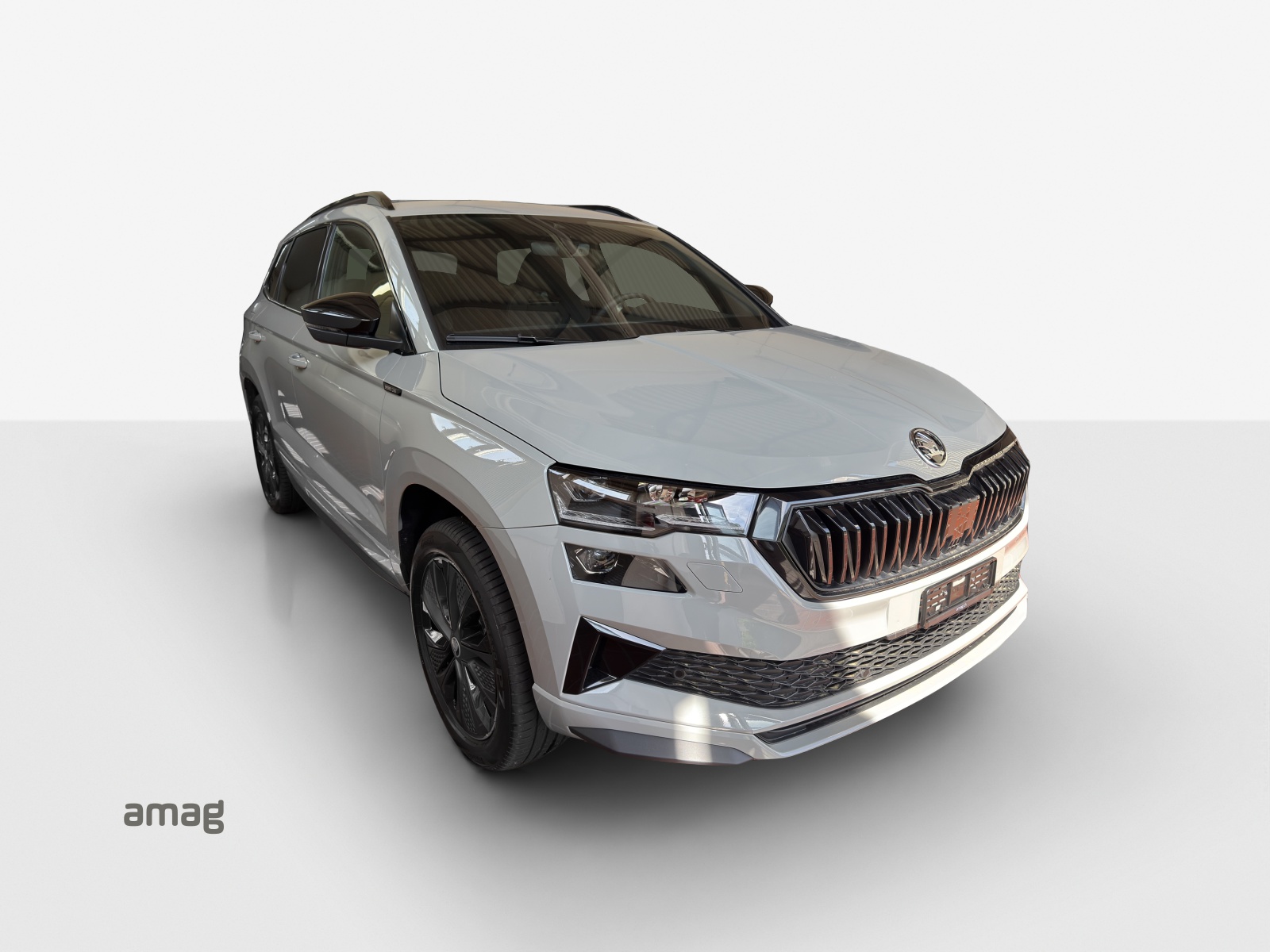SKODA Karoq 2.0 TSI Dynamic Limited Edition 4x4 DSG-image-5