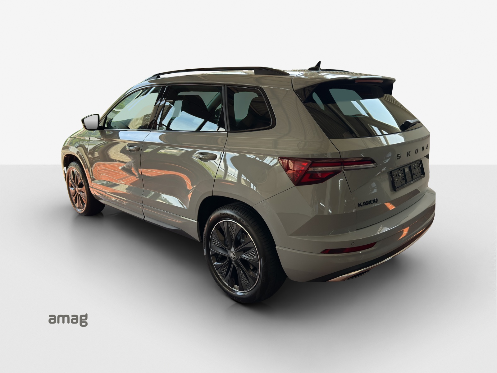 SKODA Karoq 2.0 TSI Dynamic Limited Edition 4x4 DSG-image-2