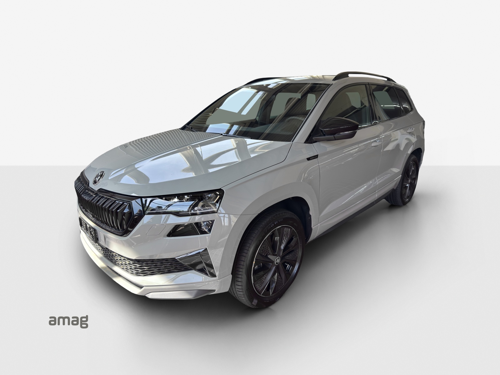 SKODA Karoq 2.0 TSI Dynamic Limited Edition 4x4 DSG-image-0