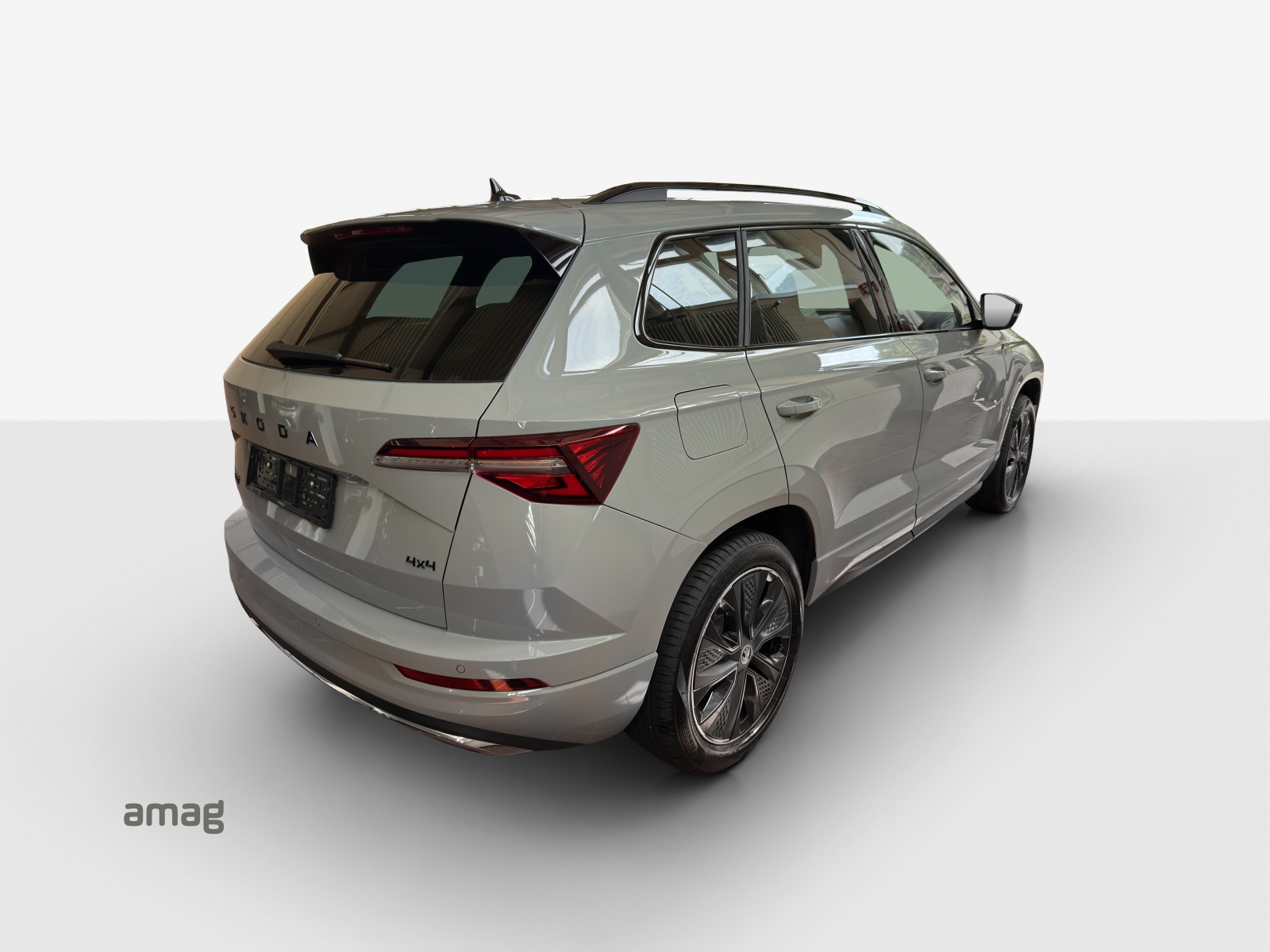 SKODA Karoq 2.0 TSI Dynamic Limited Edition 4x4 DSG-image-4