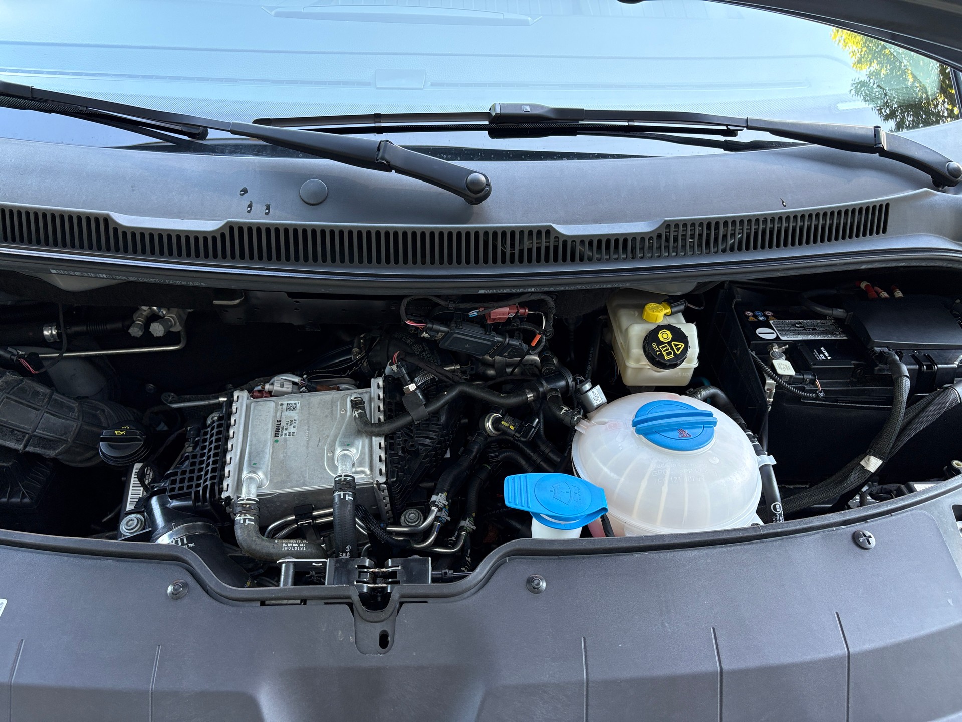 VW Ocean Liberty DSG-image-8