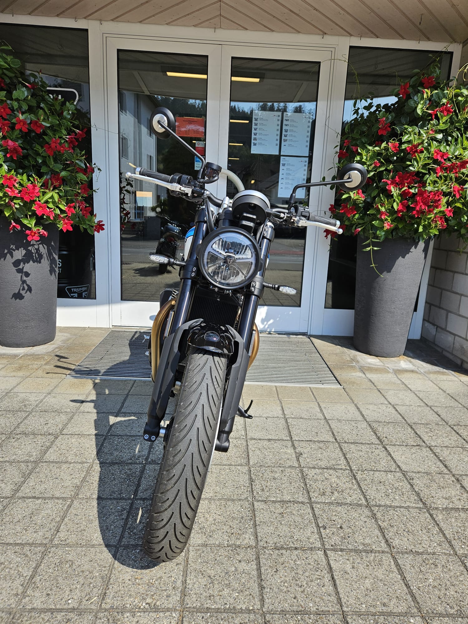TRIUMPH Speed Twin 900 (35kW)-image-5