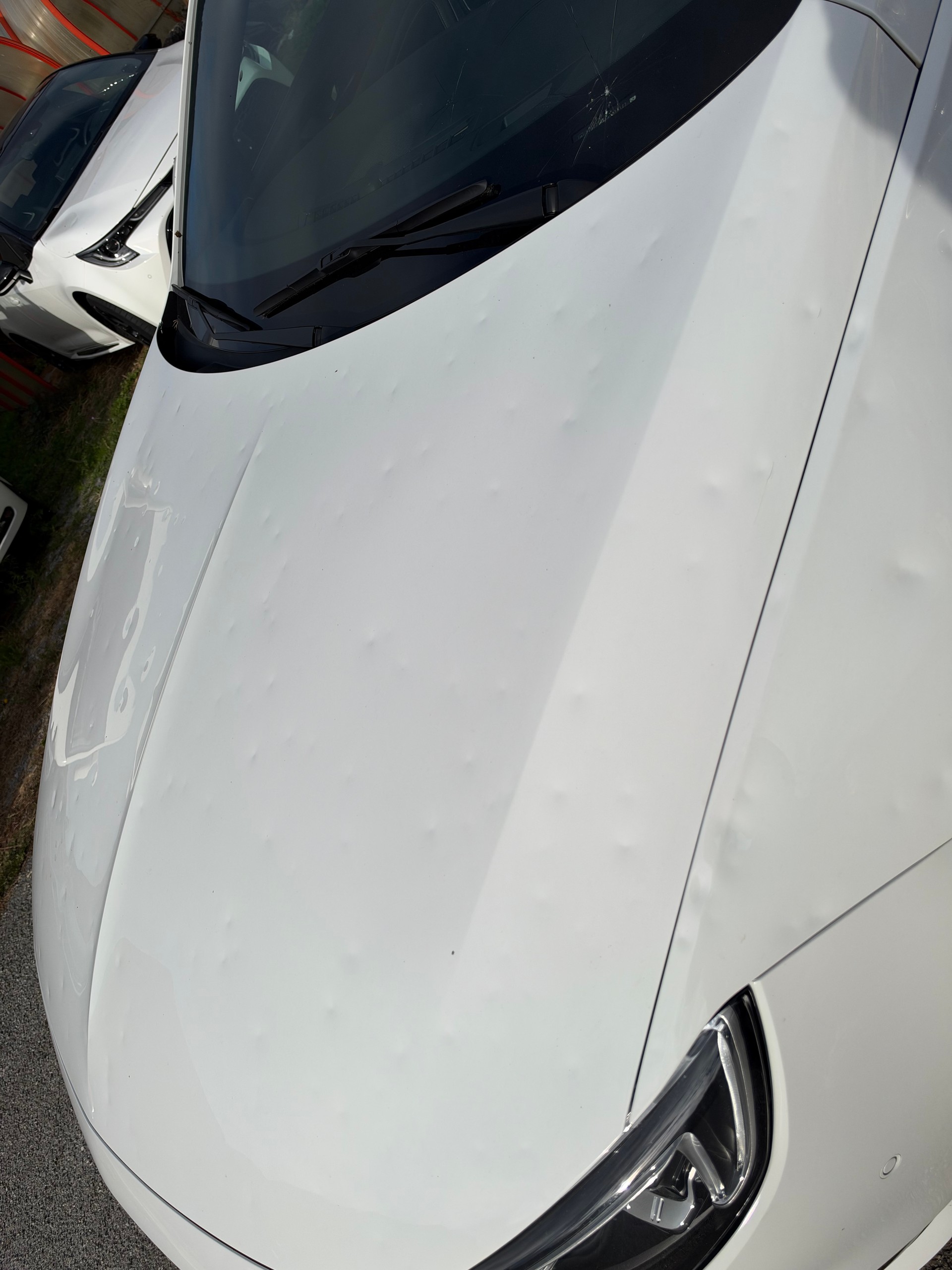 OPEL Insignia 1.6 T Sports Tourer Excellence Automatic-image-9
