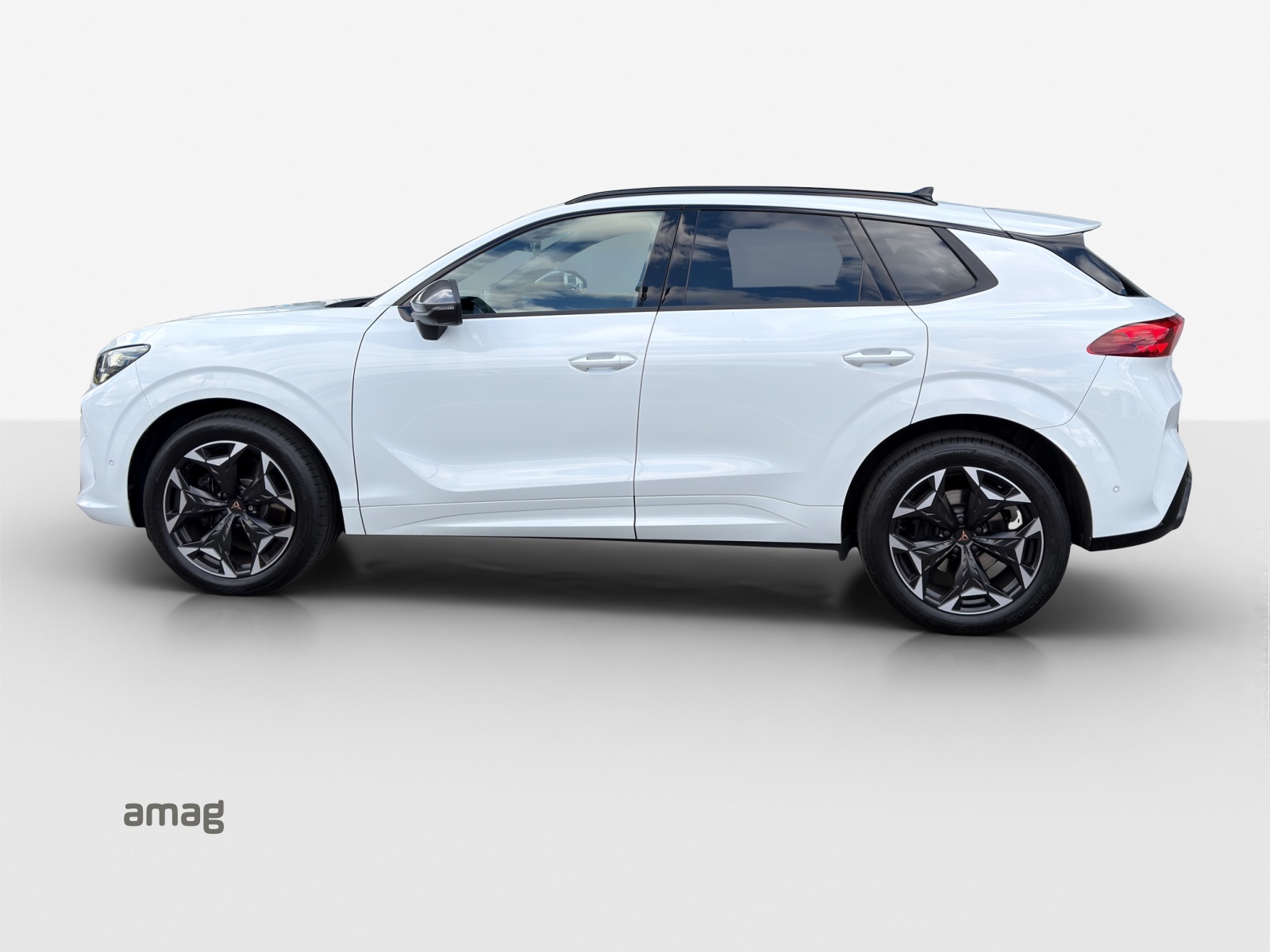 CUPRA Terramar 2.0 TSI DSG 4Drive VZ-image-1