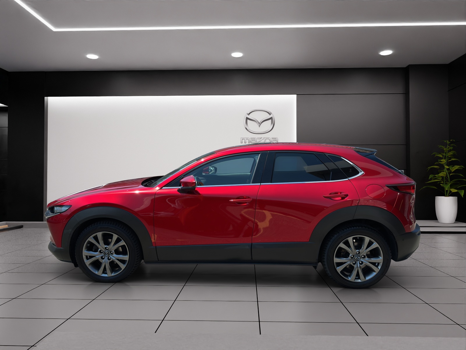 MAZDA CX-30 186 Revolution AWD-image-2