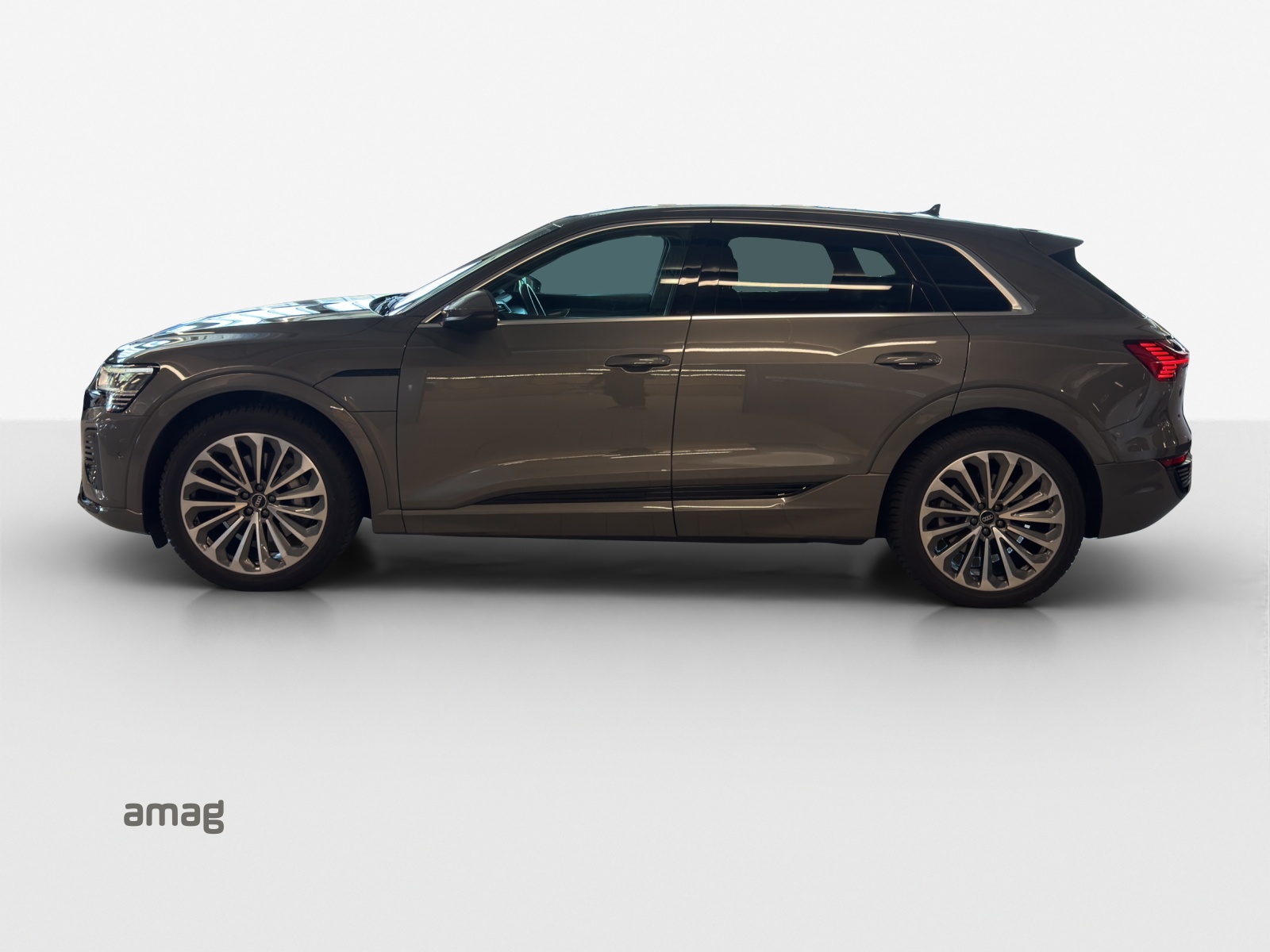 AUDI Q8 55 e-tron S line quattro-image-1