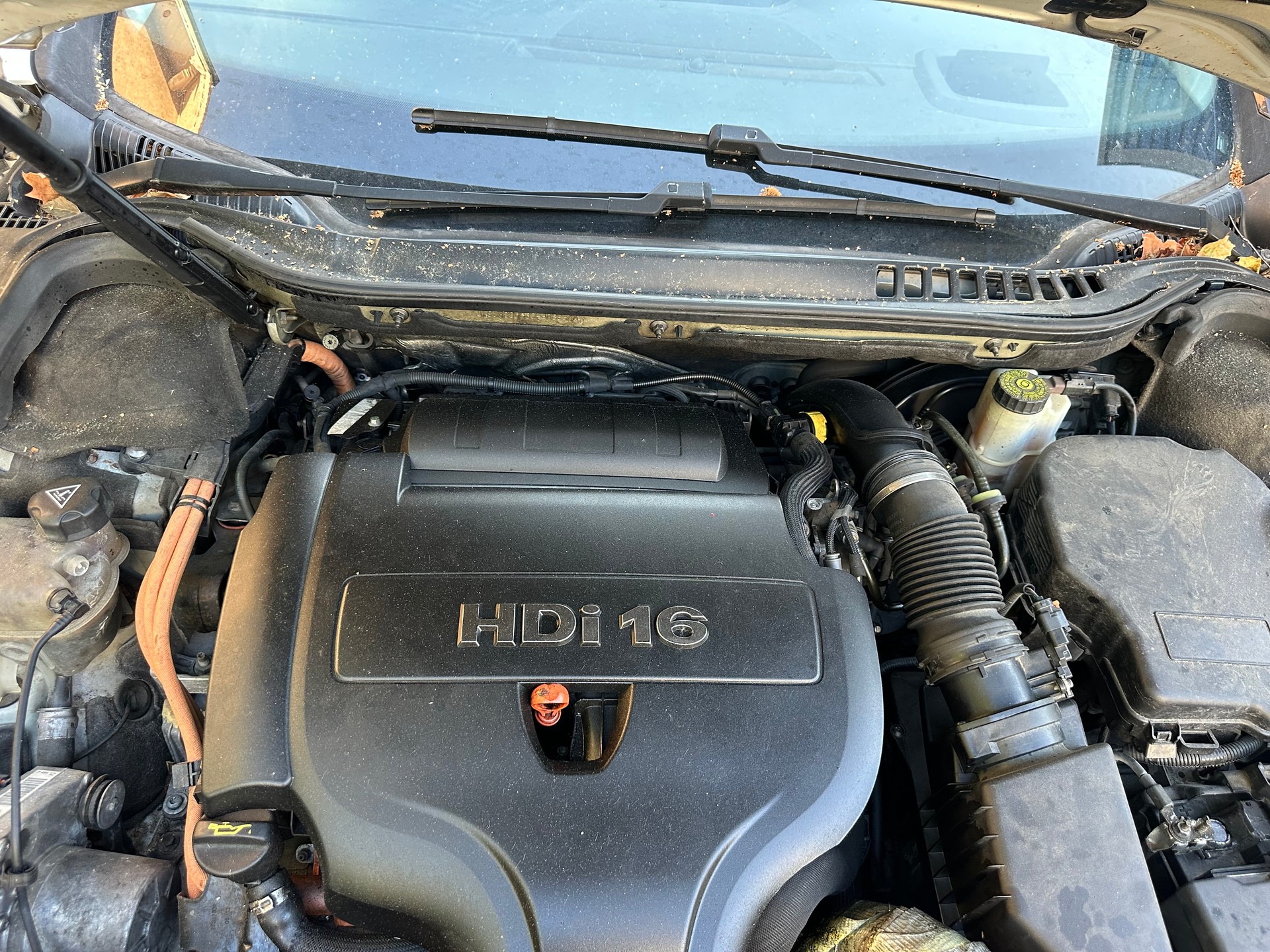 PEUGEOT 508 RXH 2.0 HDI Hybrid4 EGS6-image-5