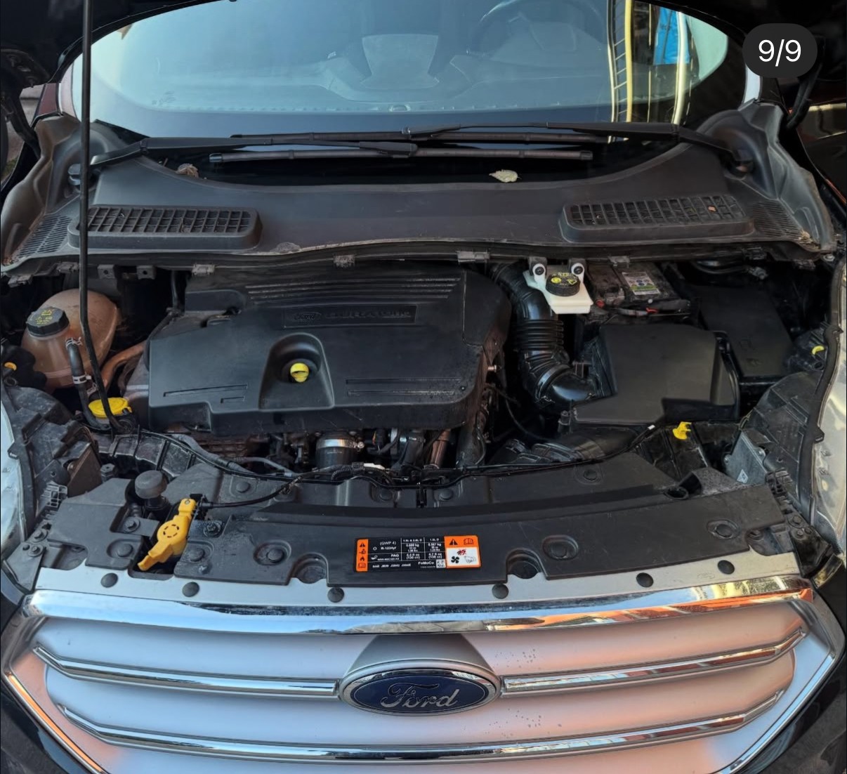 FORD Kuga 2.0 TDCi ST Line 4WD PowerShift-image-7