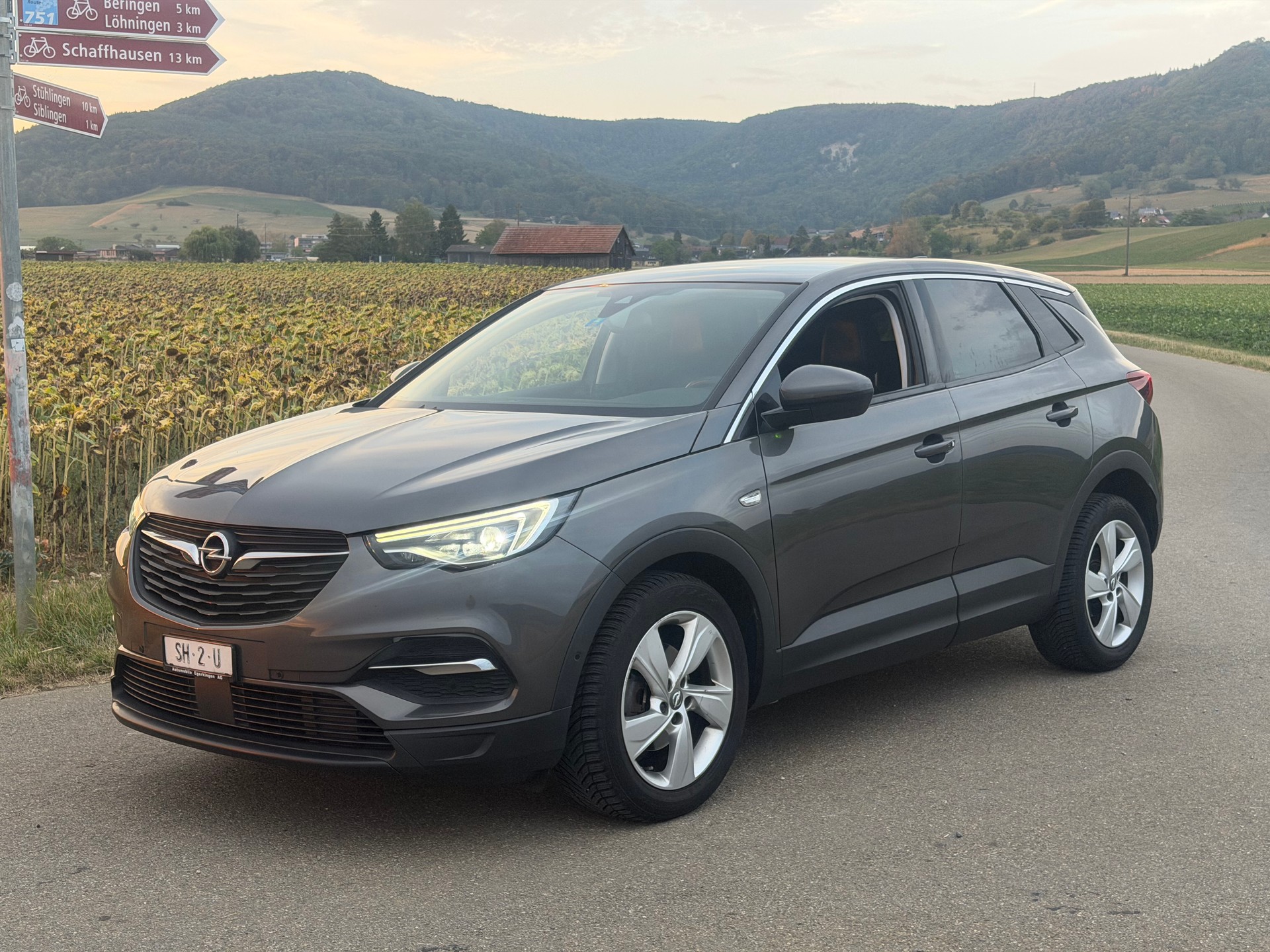 OPEL Grandland X 1.2i TP Design Line Automatik-image-0