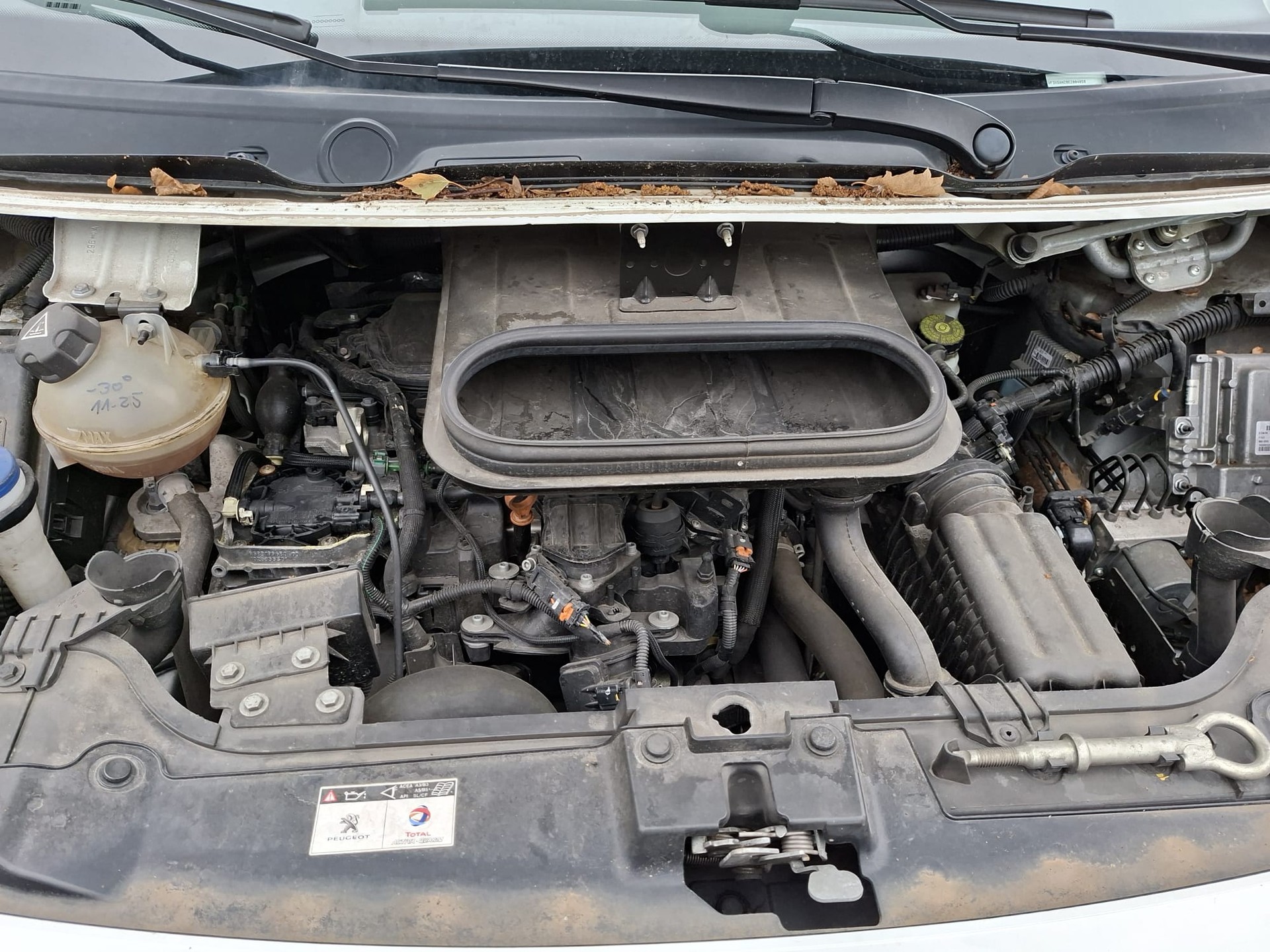 PEUGEOT Expert 2.0 HDi 229 L2H1-image-7