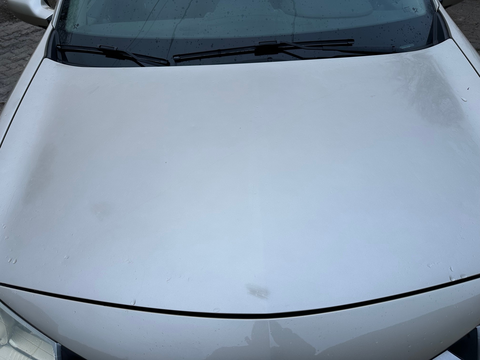 RENAULT Mégane 1.6 16V Business FIXPREIS-image-4