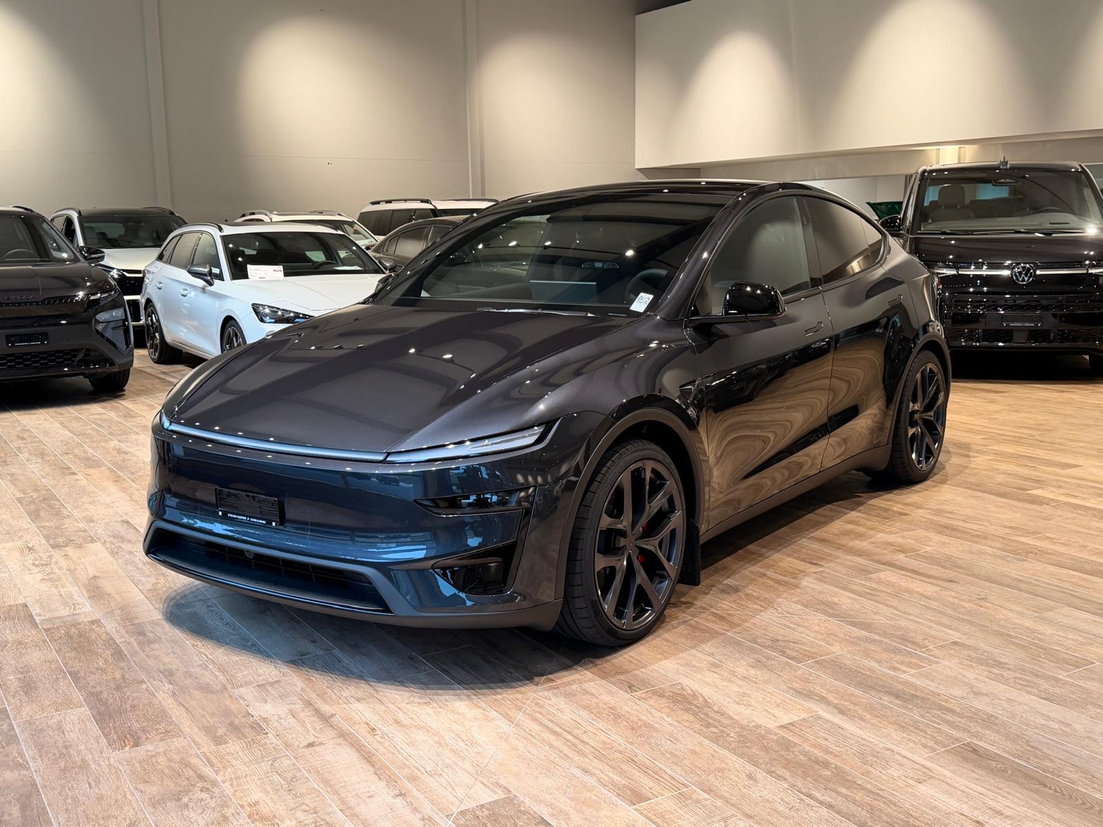 TESLA Model Y Performance-showroom-element-1