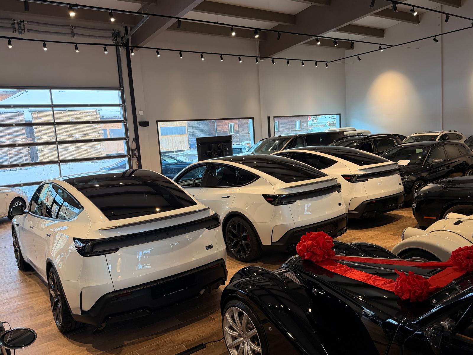 TESLA Model Y Performance-image-2