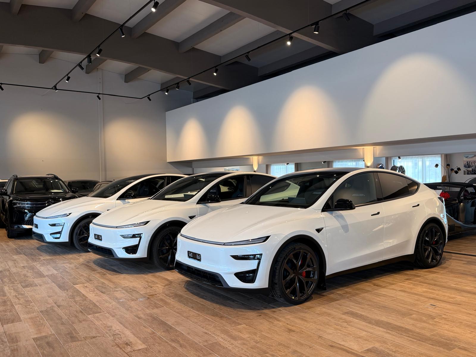 TESLA Model Y Performance-image-1