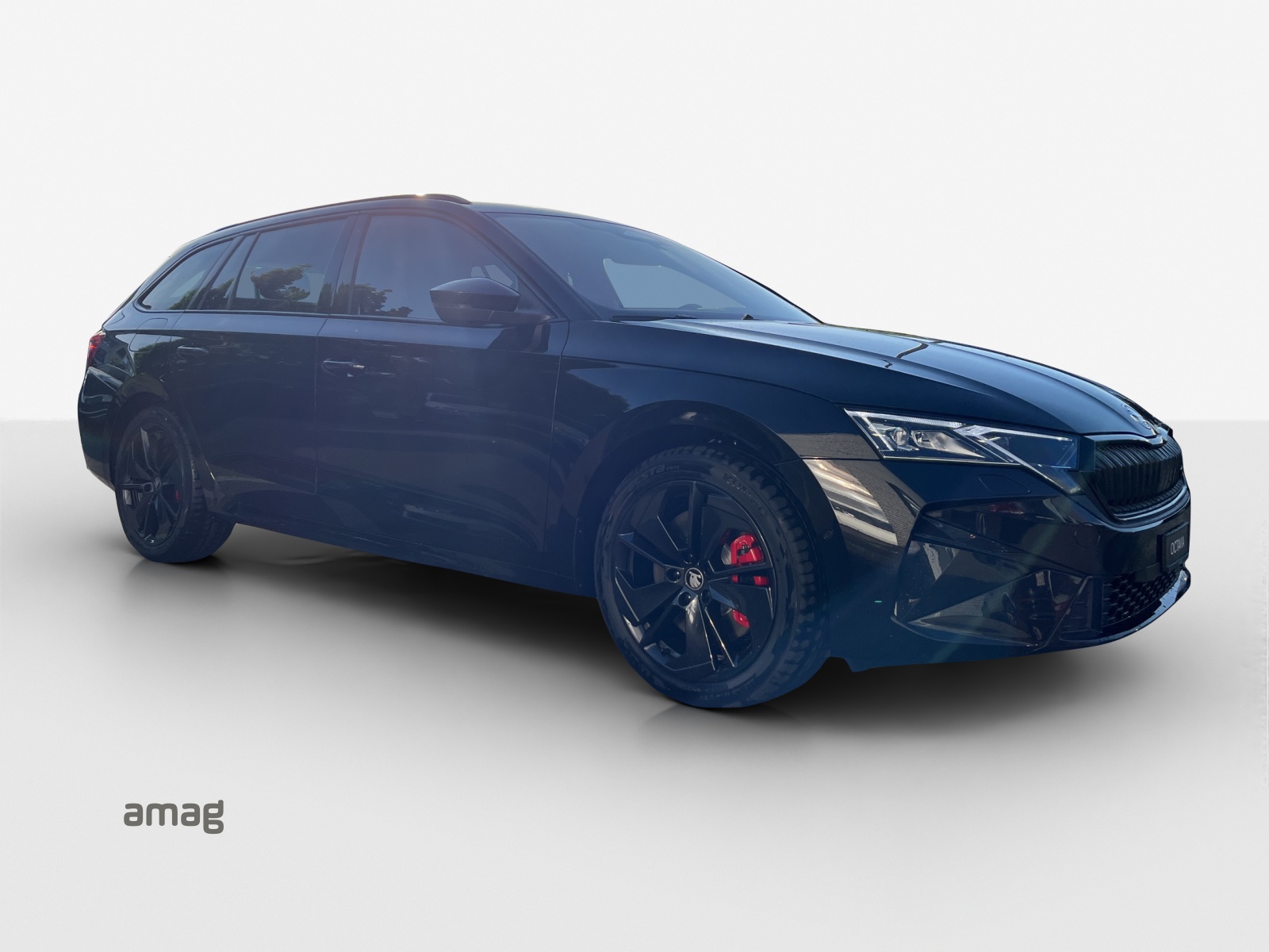SKODA Oct. RS 2.0 TSI 265PS 7DSG-image-4