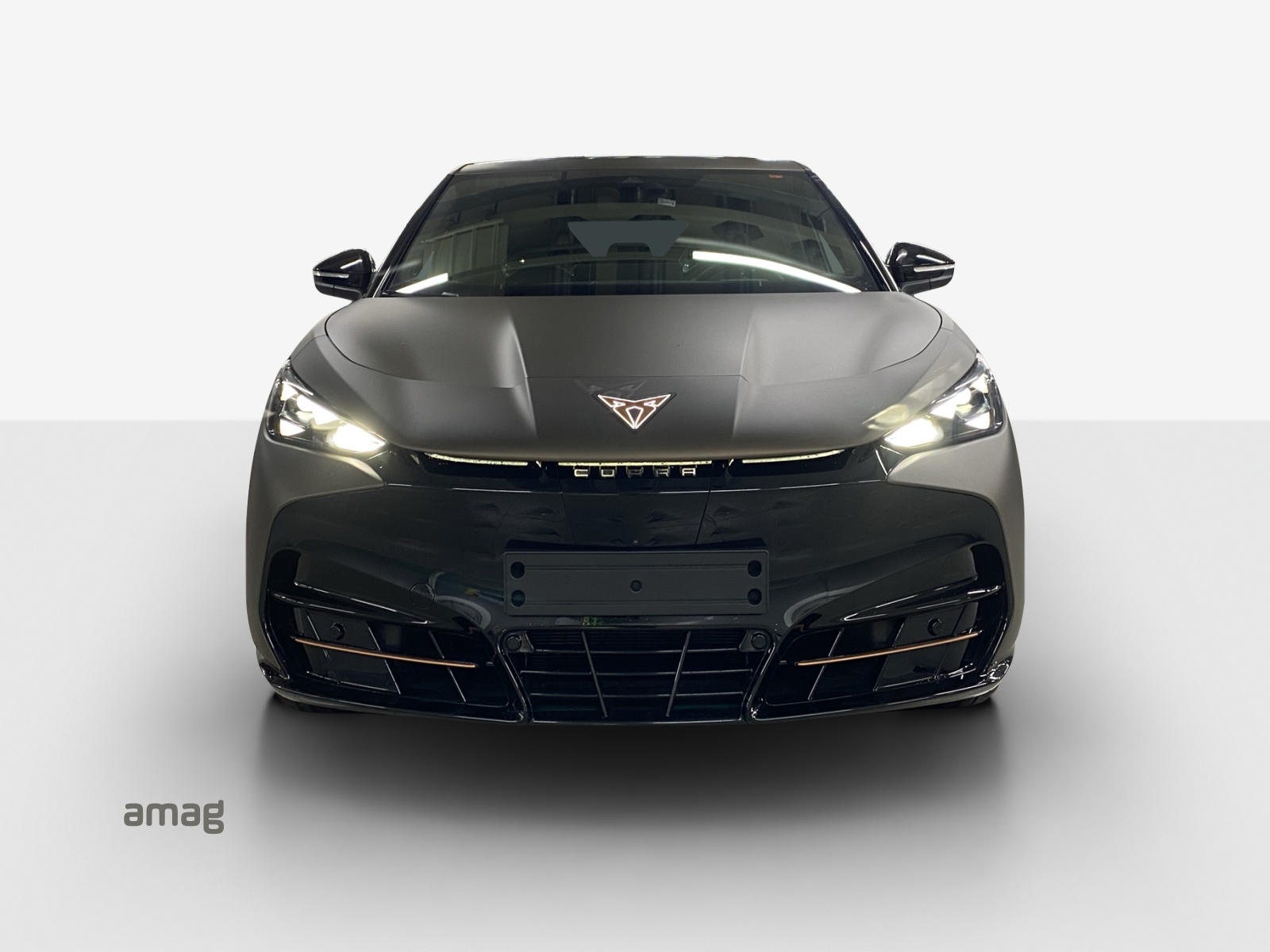 CUPRA Tavascan Type 10 77 kWh Extreme-image-6