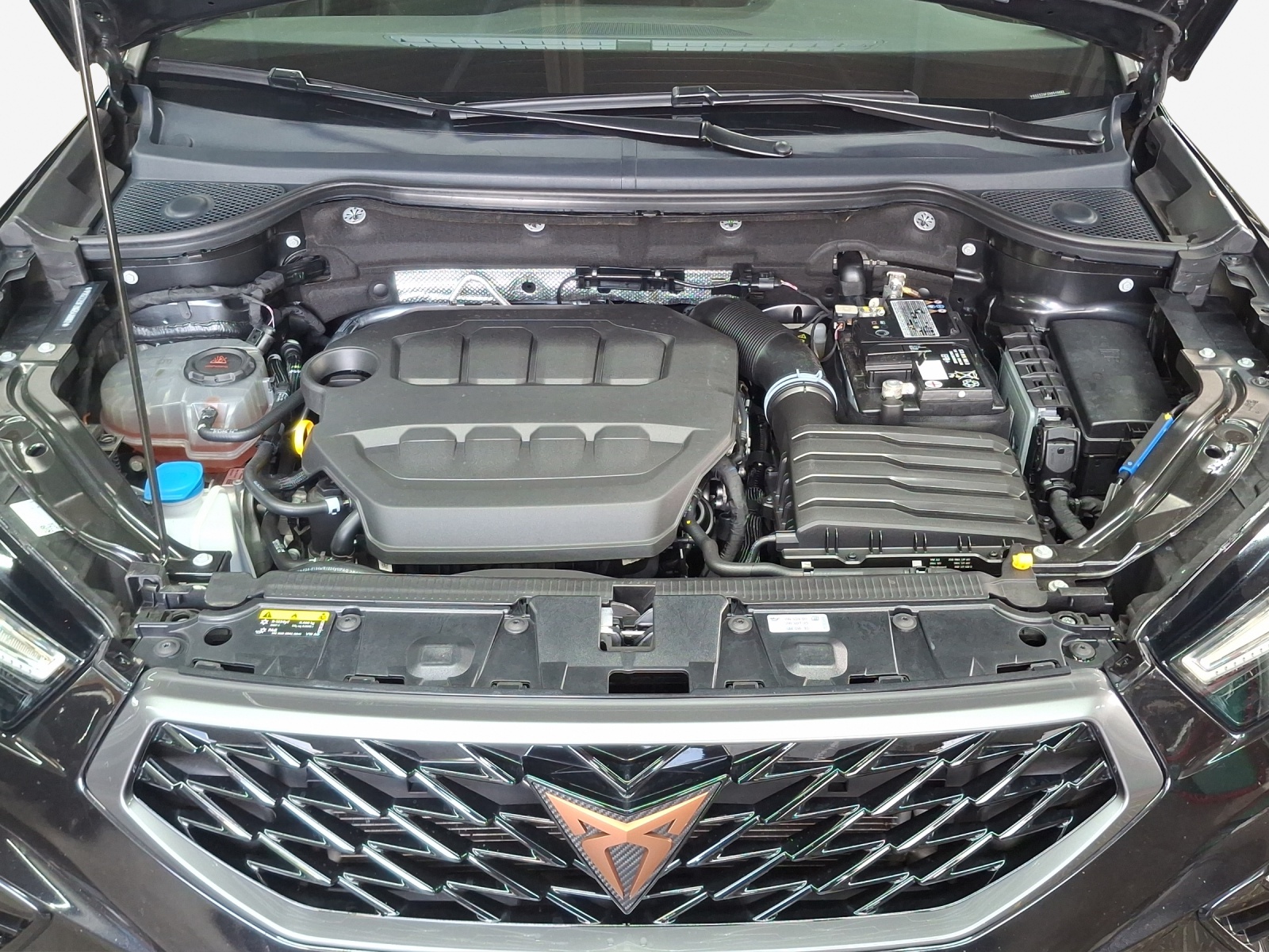 CUPRA Ateca 2.0TSI 4Drive DSG-image-15