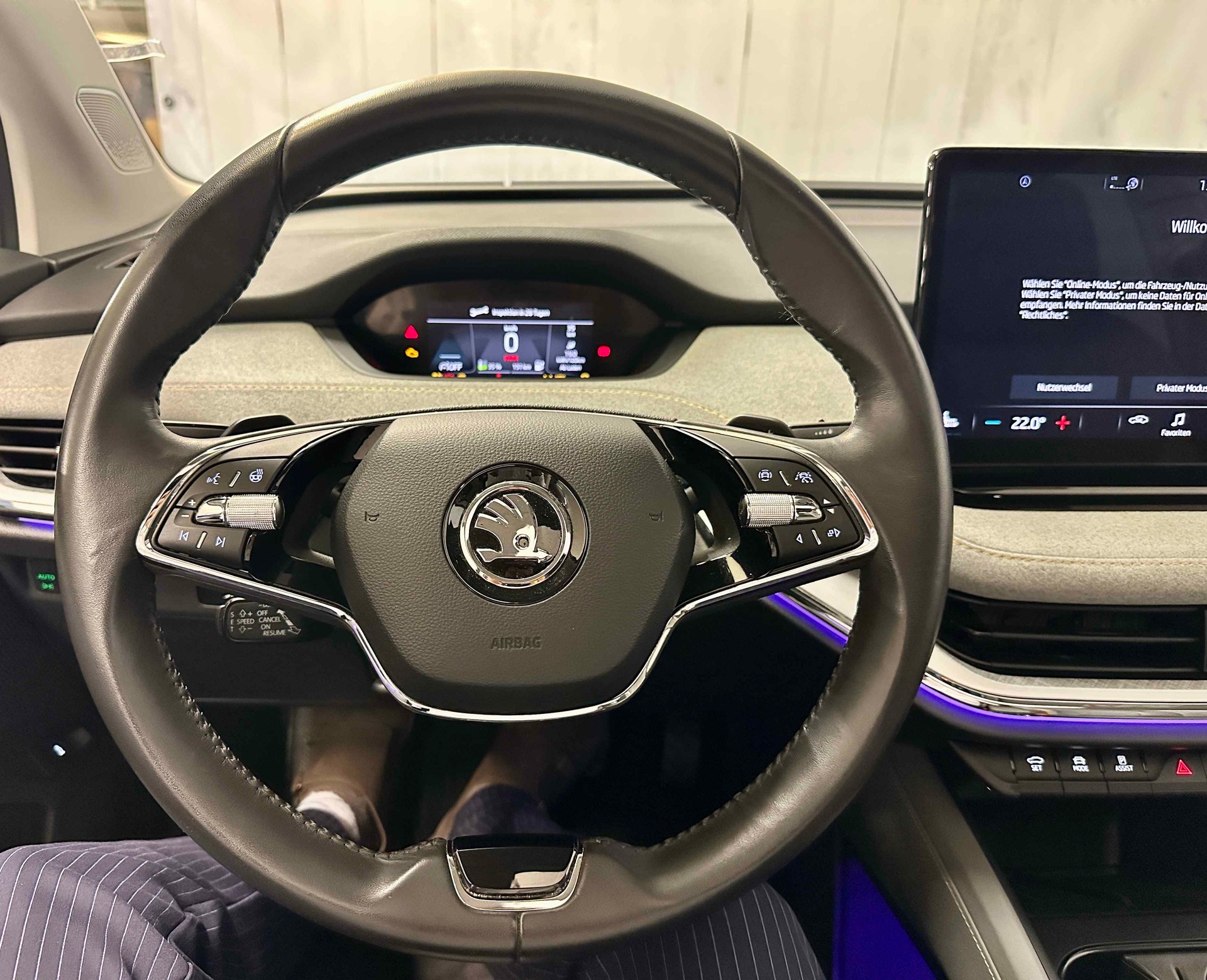 SKODA Enyaq iV 80-image-9