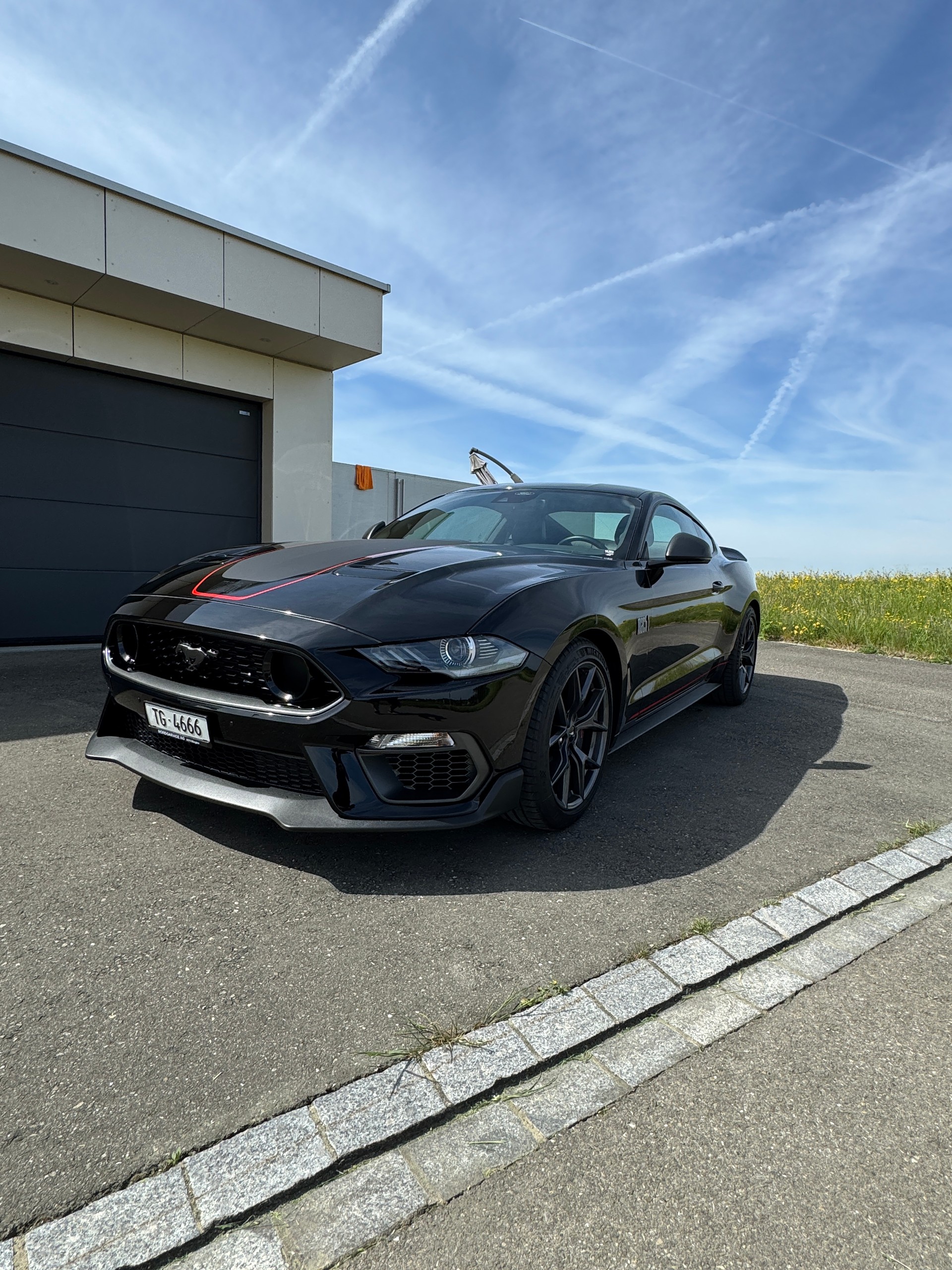FORD Mustang Fastback 5.0 V8 Mach 1-image-9