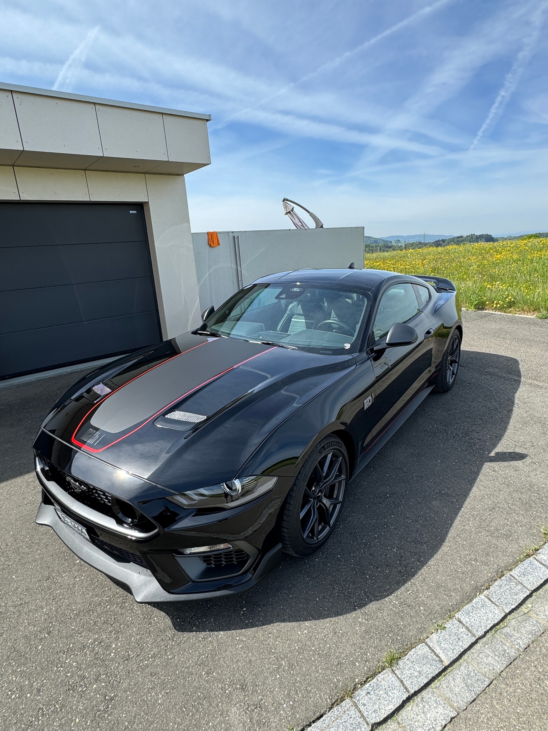 FORD Mustang Fastback 5.0 V8 Mach 1-image-8