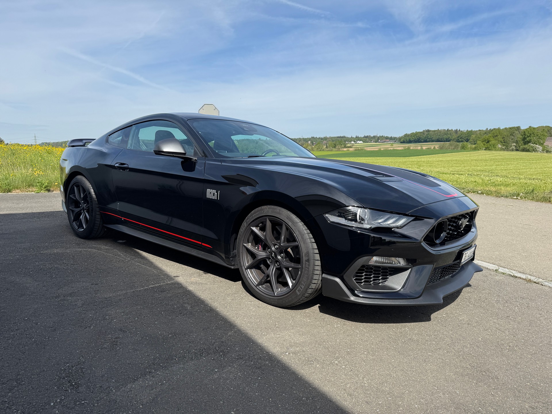 FORD Mustang Fastback 5.0 V8 Mach 1-image-0
