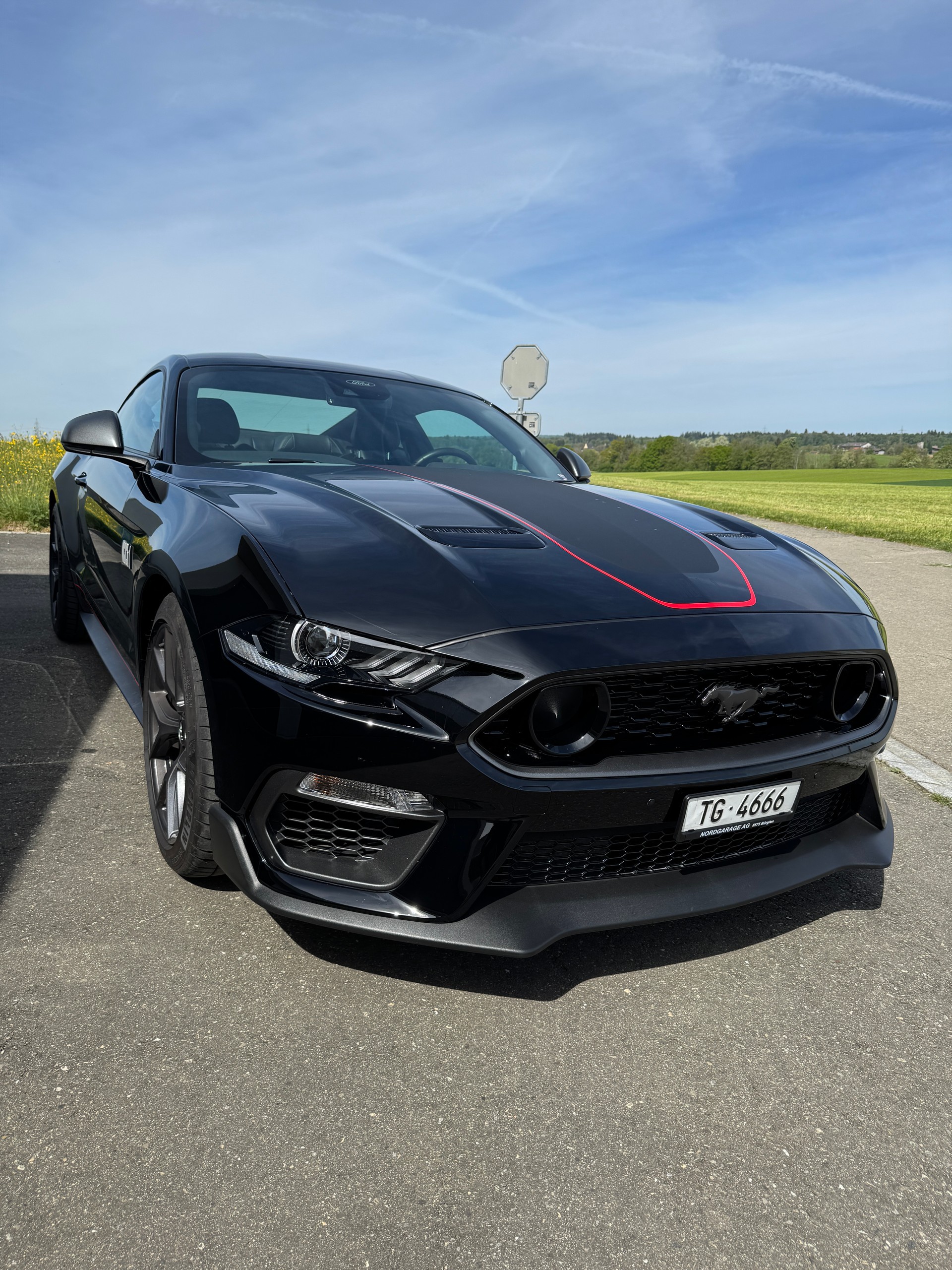FORD Mustang Fastback 5.0 V8 Mach 1-image-5