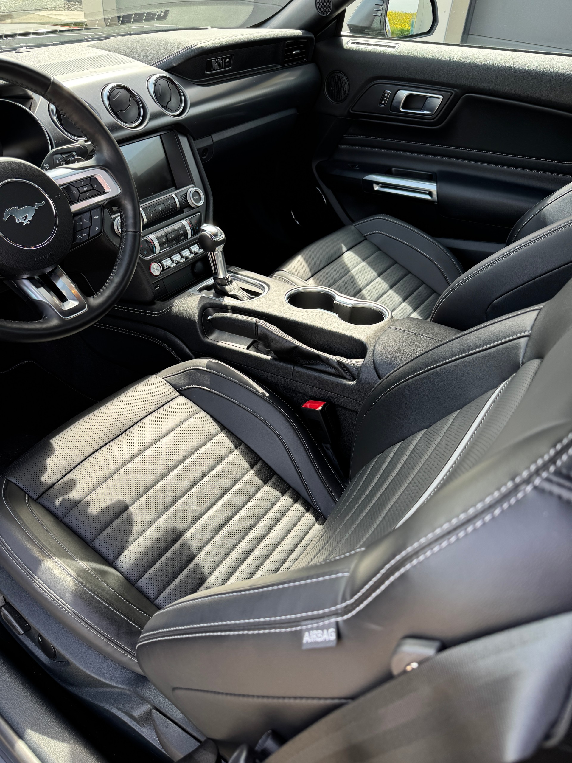 FORD Mustang Fastback 5.0 V8 Mach 1-image-12