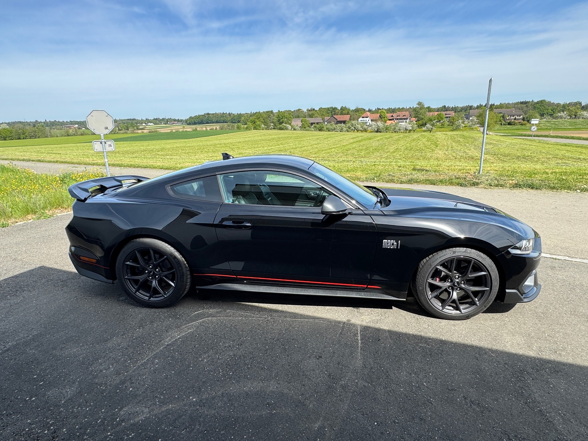 FORD Mustang Fastback 5.0 V8 Mach 1-image-3
