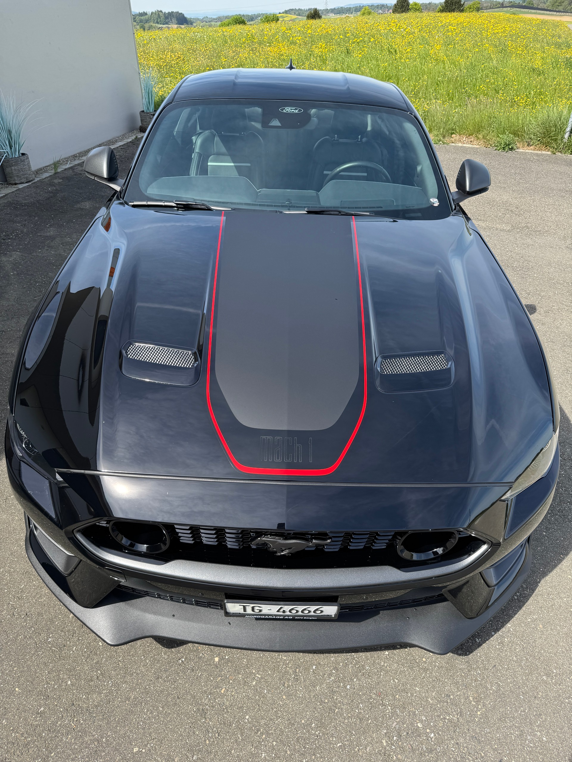 FORD Mustang Fastback 5.0 V8 Mach 1-image-10