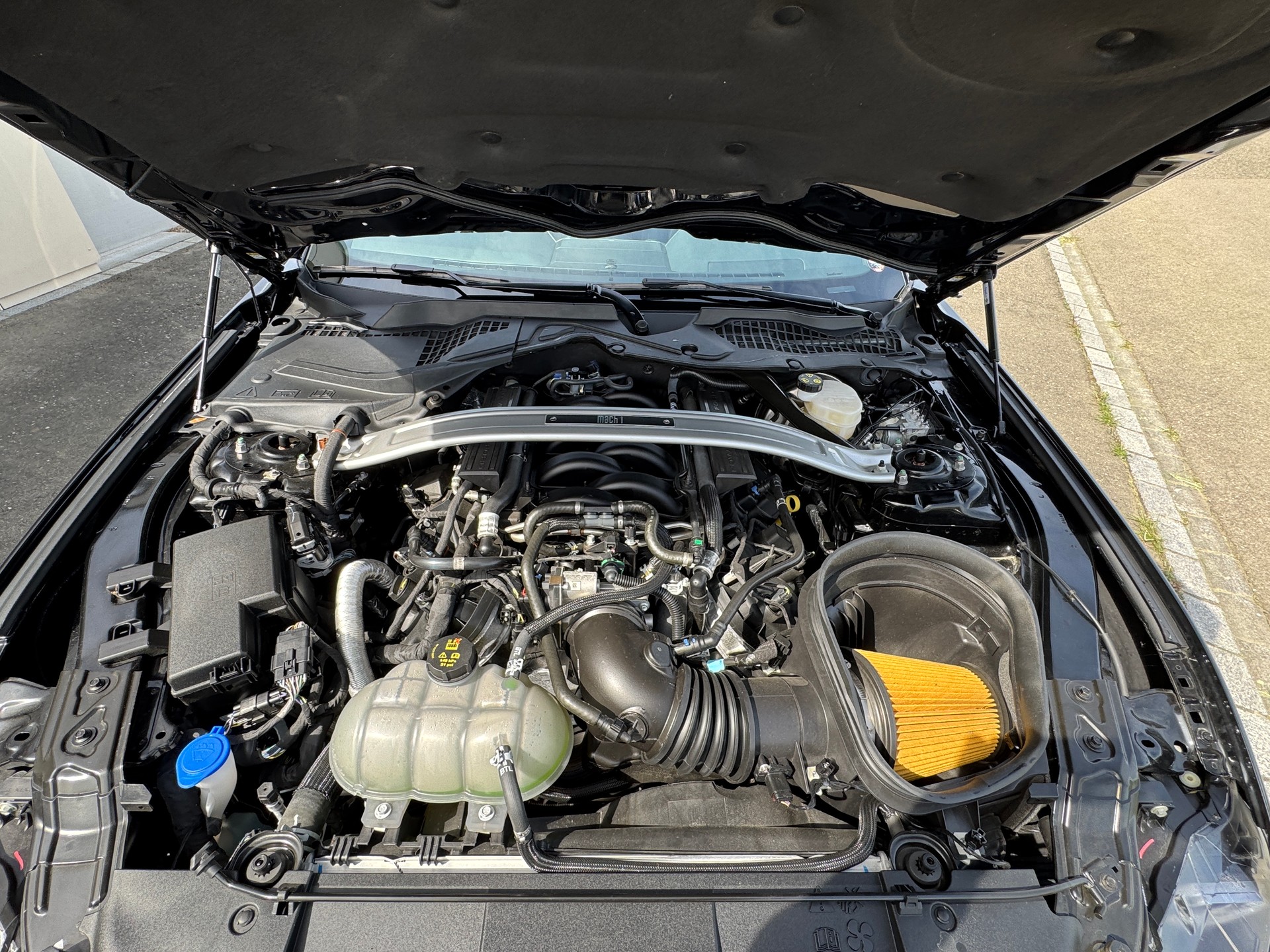FORD Mustang Fastback 5.0 V8 Mach 1-image-11