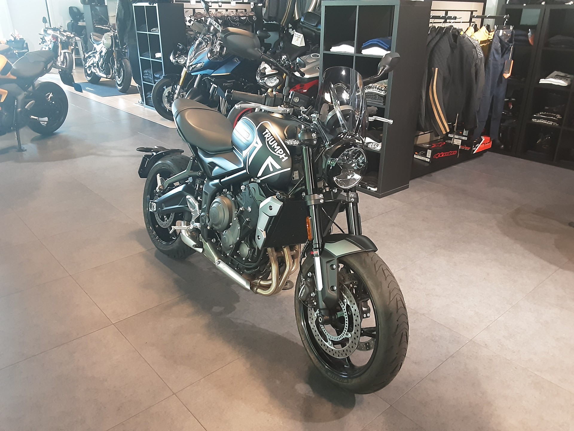 TRIUMPH Trident 660-image-2