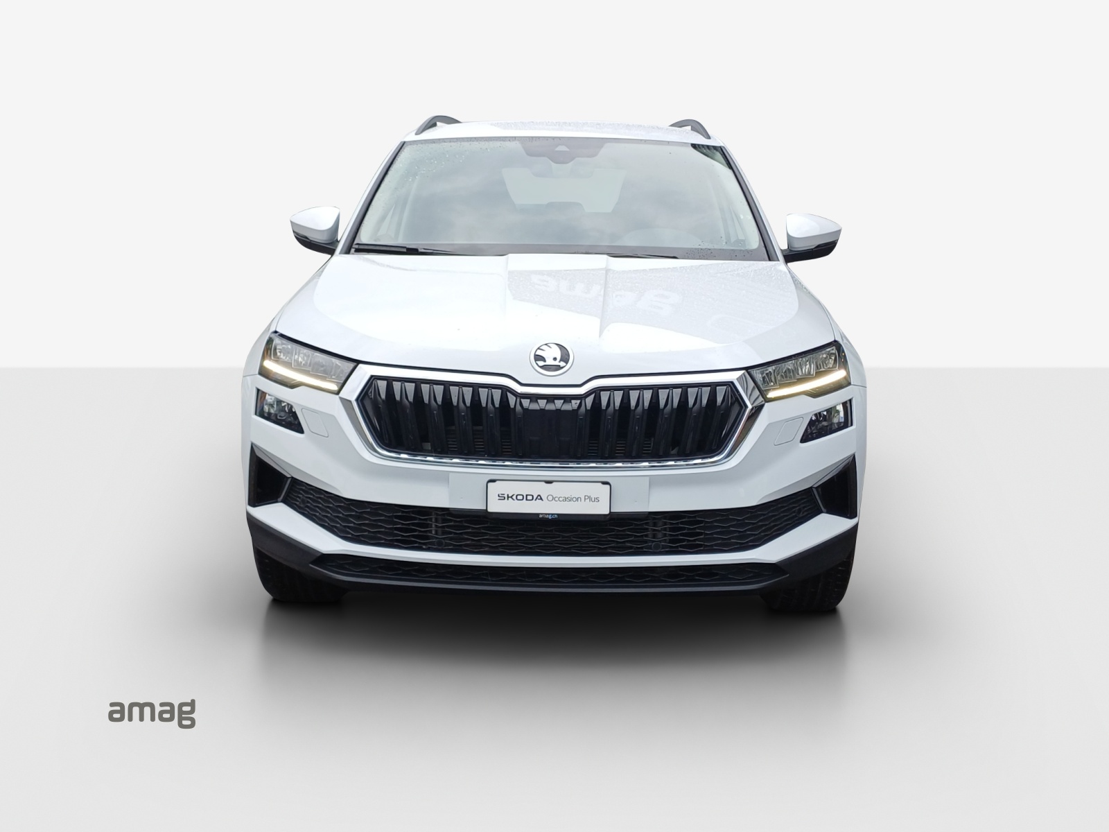 SKODA Karoq 2.0 TDI CR Ambition 4x4 DSG-image-6